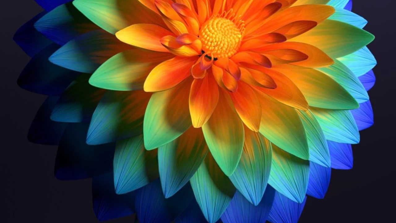 Flora, Flower, Plant, Petal, Creative Arts. Wallpaper in 1280x720 Resolution