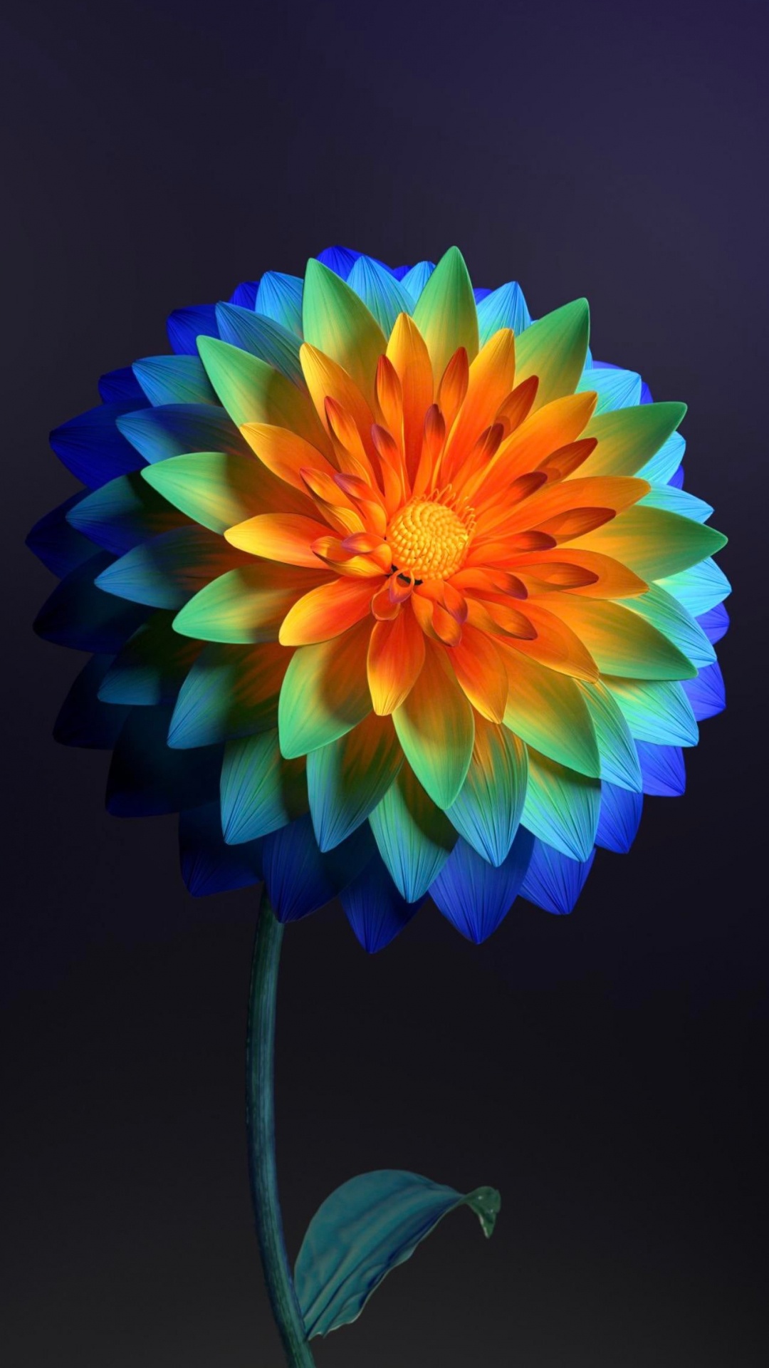 Flore, Pétale, Arts Créatifs, la Floraison de la Plante, Plante Annuelle. Wallpaper in 1080x1920 Resolution