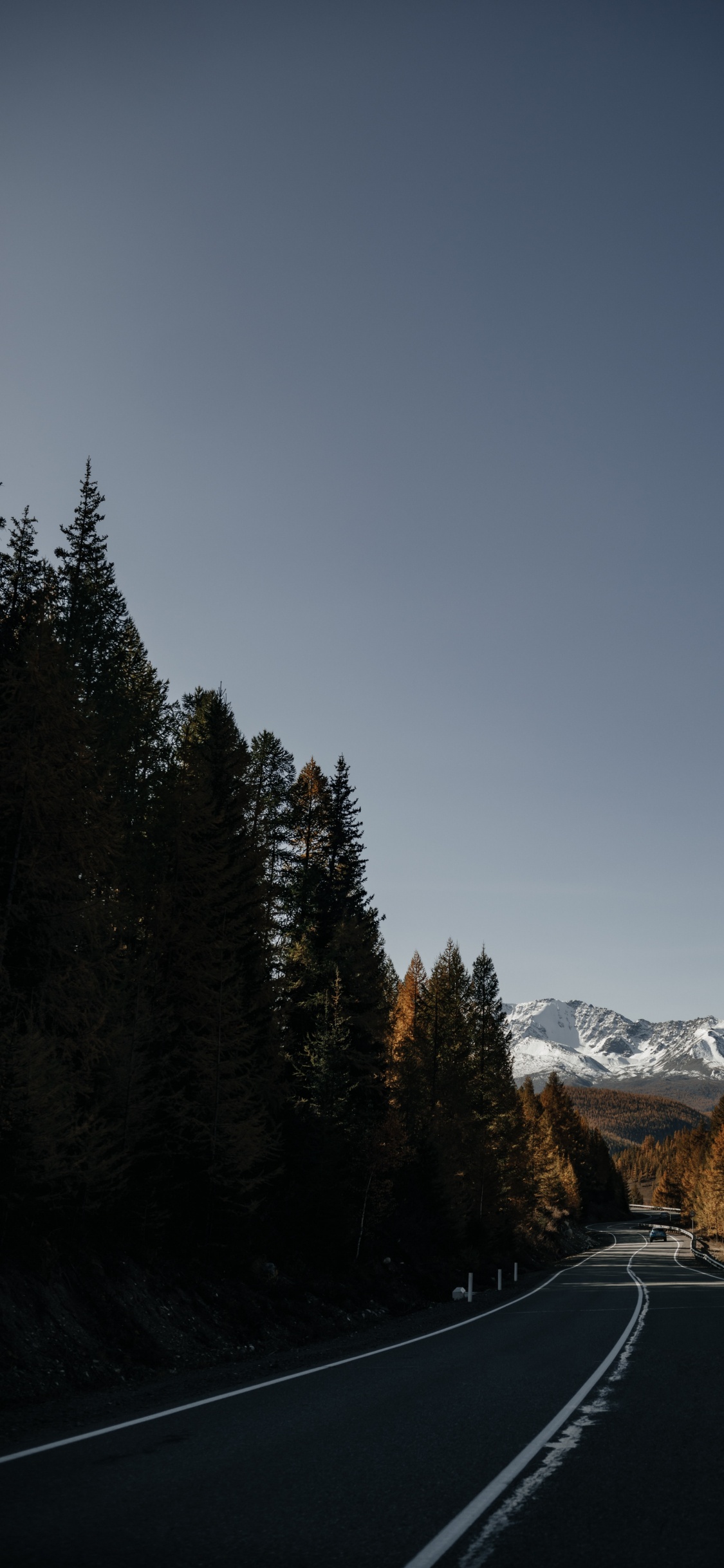 12mm Ss12kew-al, Baum, Cloud, Fahrbahn, Asphalt. Wallpaper in 1125x2436 Resolution