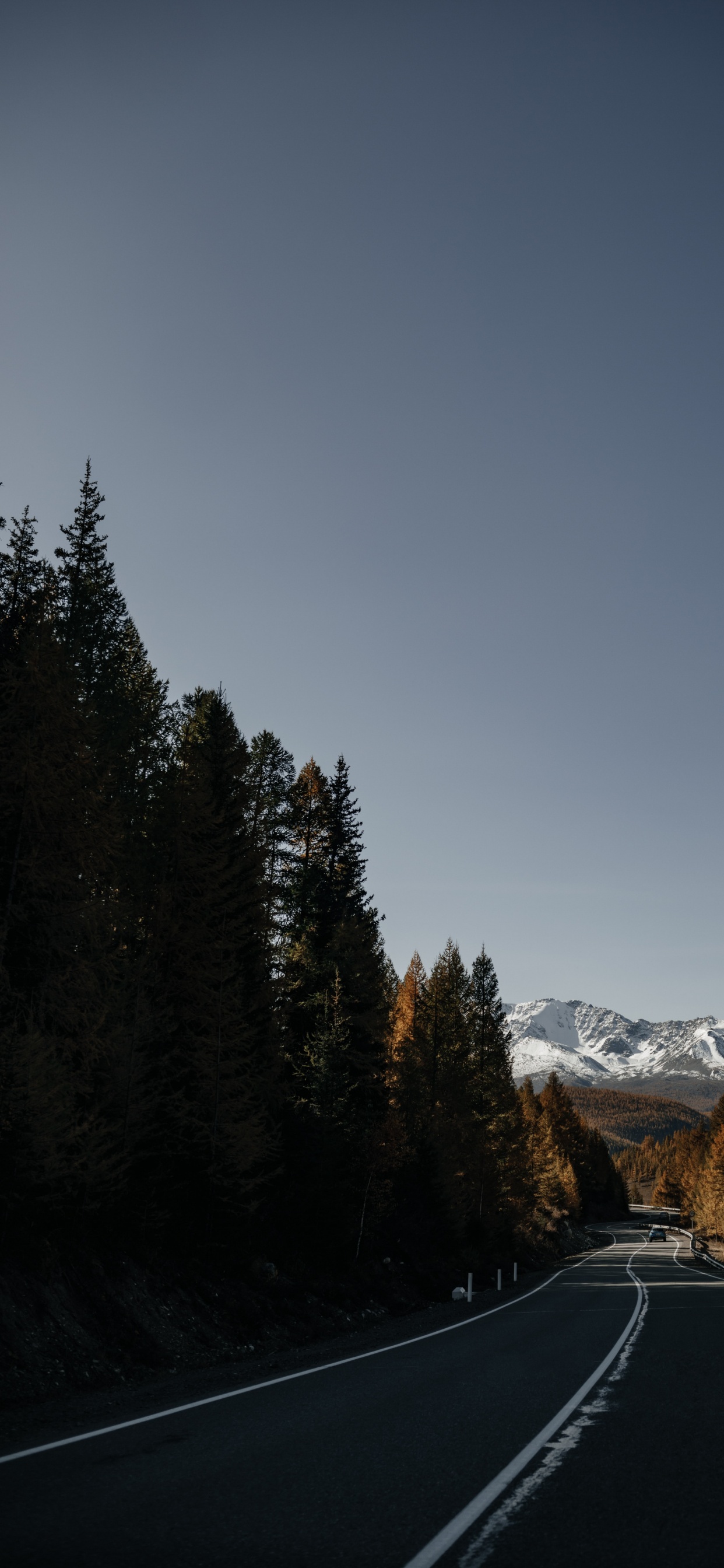 12mm Ss12kew-al, Baum, Cloud, Fahrbahn, Asphalt. Wallpaper in 1242x2688 Resolution