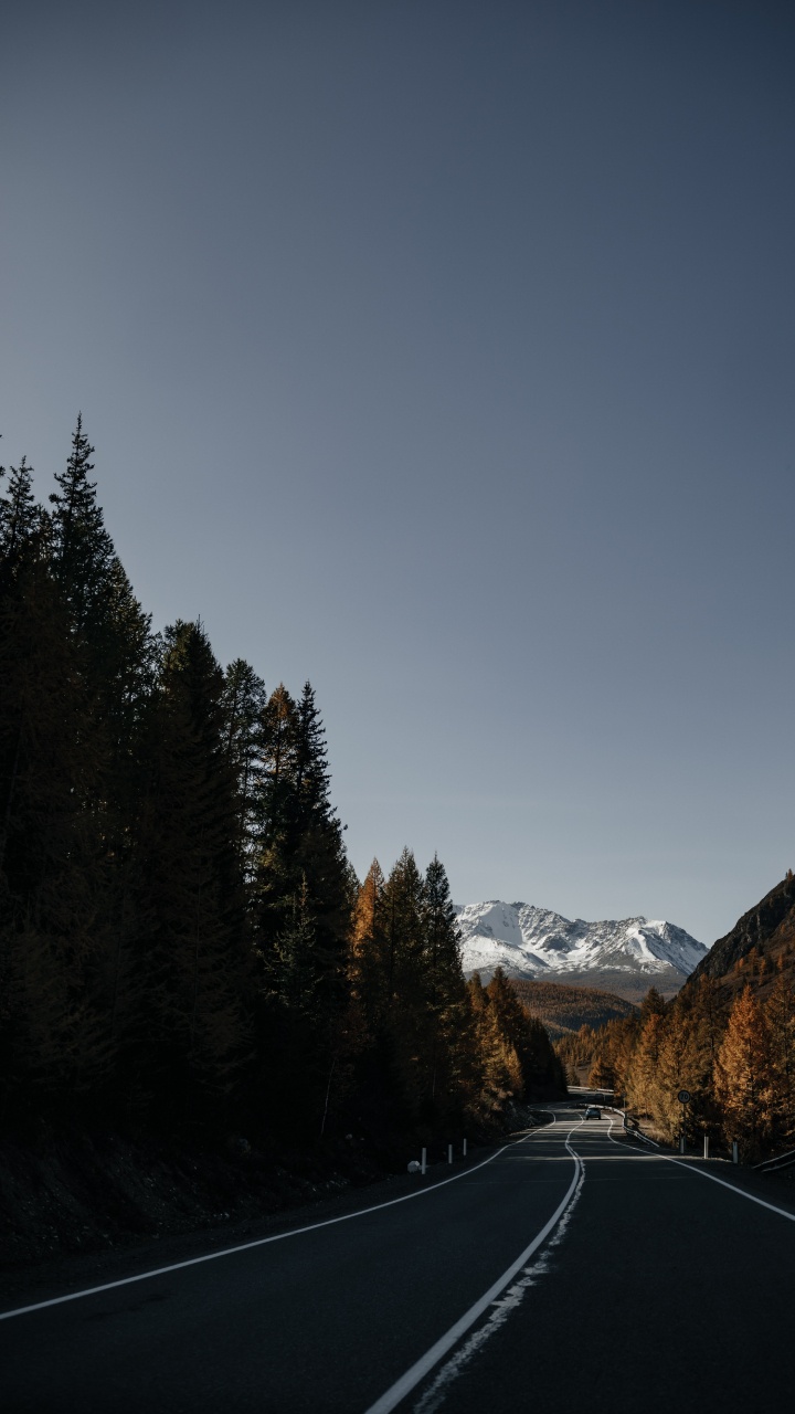 12mm Ss12kew-al, Baum, Cloud, Fahrbahn, Asphalt. Wallpaper in 720x1280 Resolution