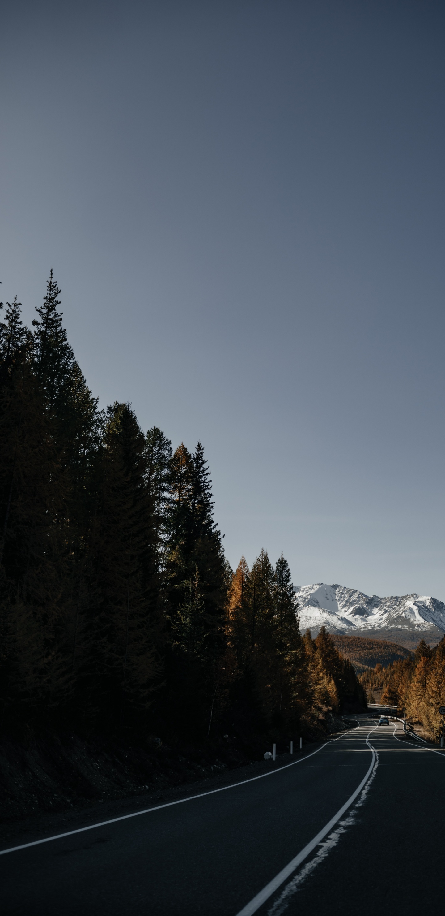 12mm Ss12kew-al, 沥青, 自然景观, 焦油, 通道 壁纸 1440x2960 允许