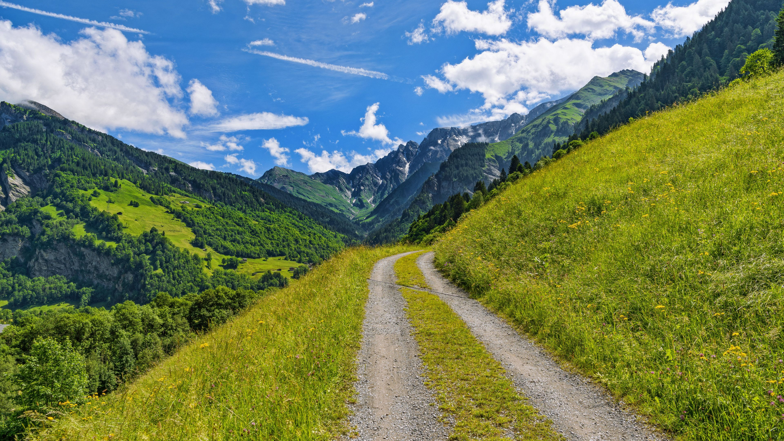 Cloud, Mountain, Plant, Natural Landscape, People in Nature. Wallpaper in 2560x1440 Resolution
