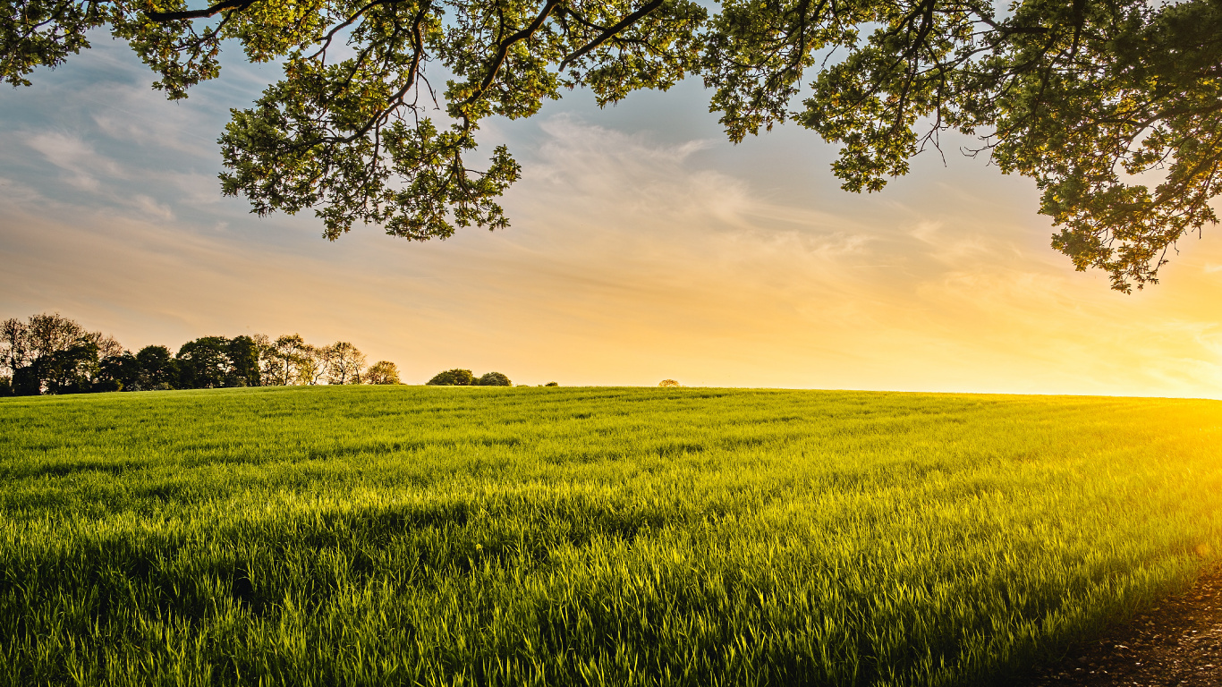 Source of All my Good, The Green Ember, Cloud, Plant, Ecoregion. Wallpaper in 1366x768 Resolution