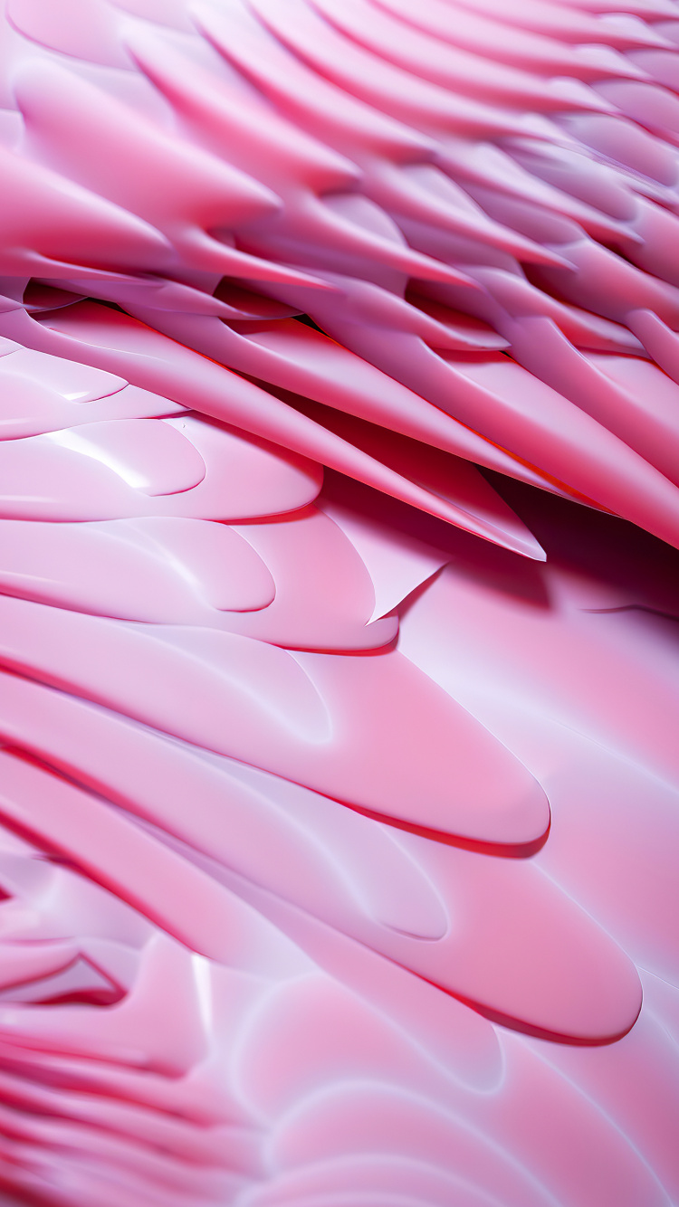 Close Up, Mathematics, Geometry, Petal, Hood. Wallpaper in 750x1334 Resolution