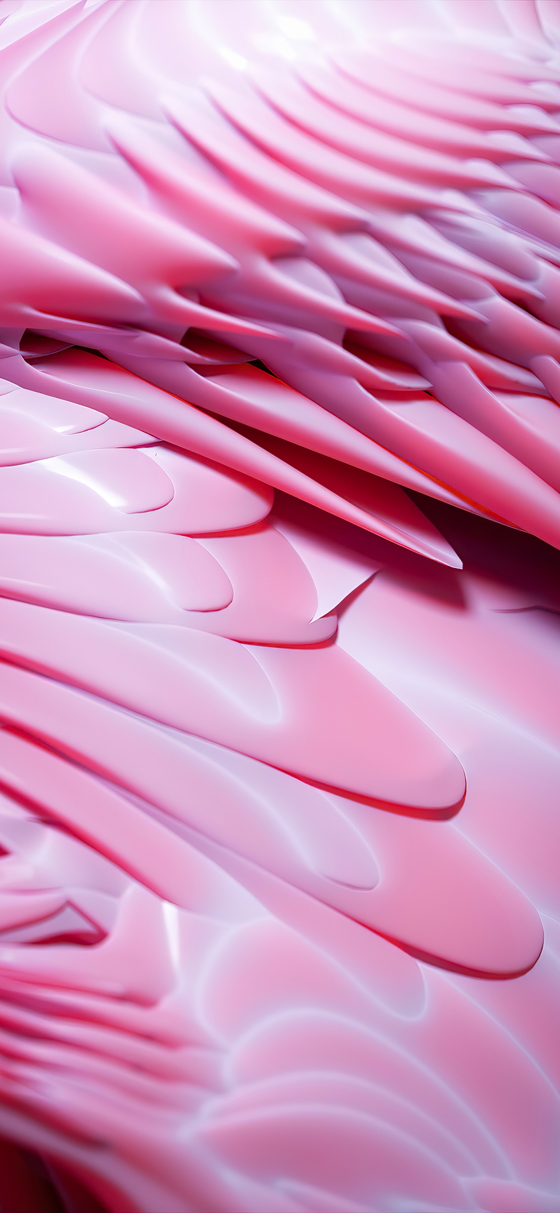 Close Up, Mathematik, Geometrie, Blütenblatt, Kapuze. Wallpaper in 1125x2436 Resolution