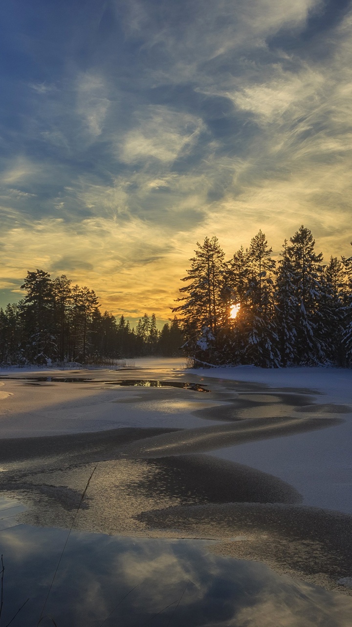 Snow Covered Field With Trees Under Blue Sky and White Clouds During Daytime. Wallpaper in 720x1280 Resolution