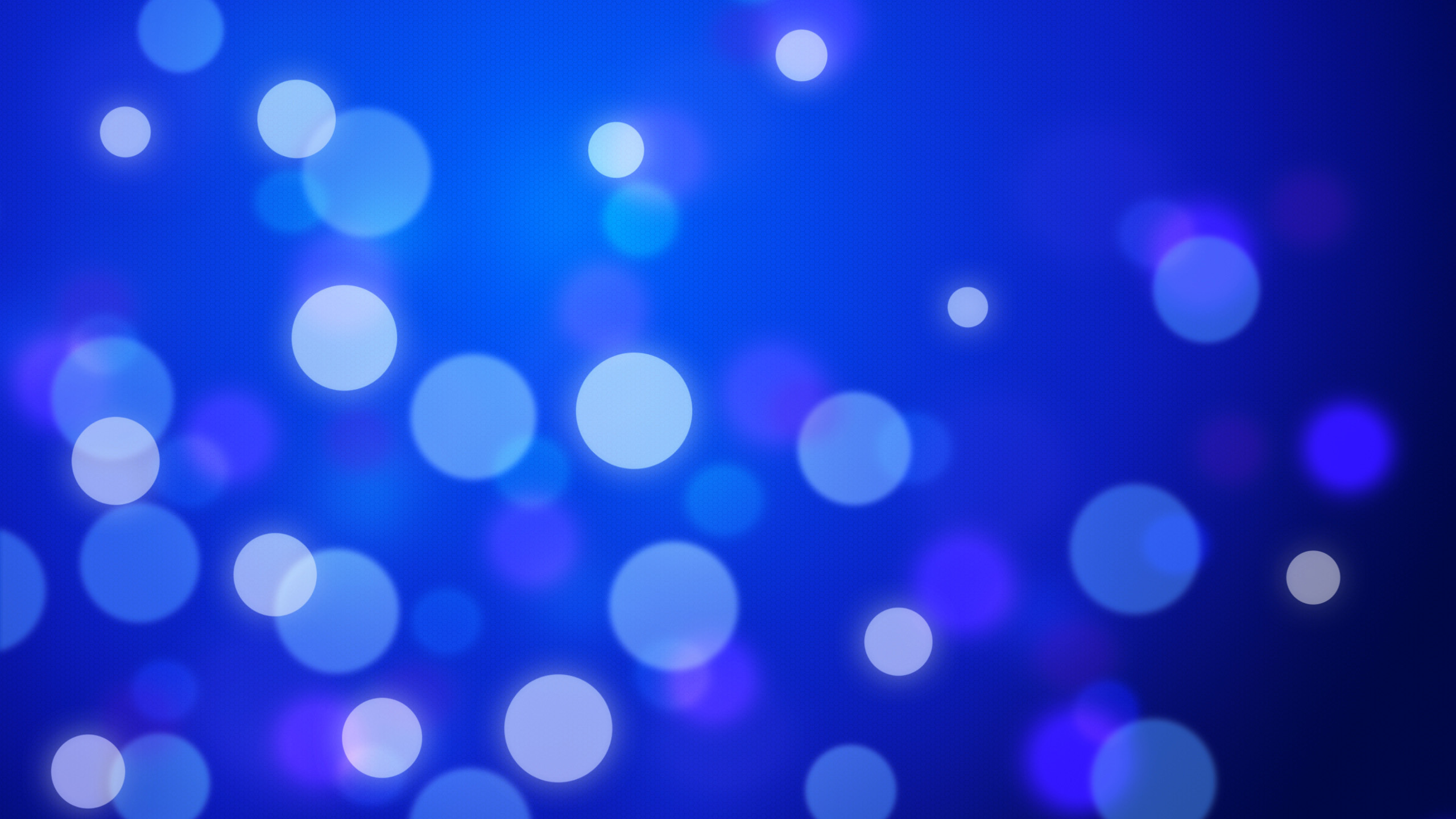 Lumières Bokeh Violettes et Blanches. Wallpaper in 2560x1440 Resolution