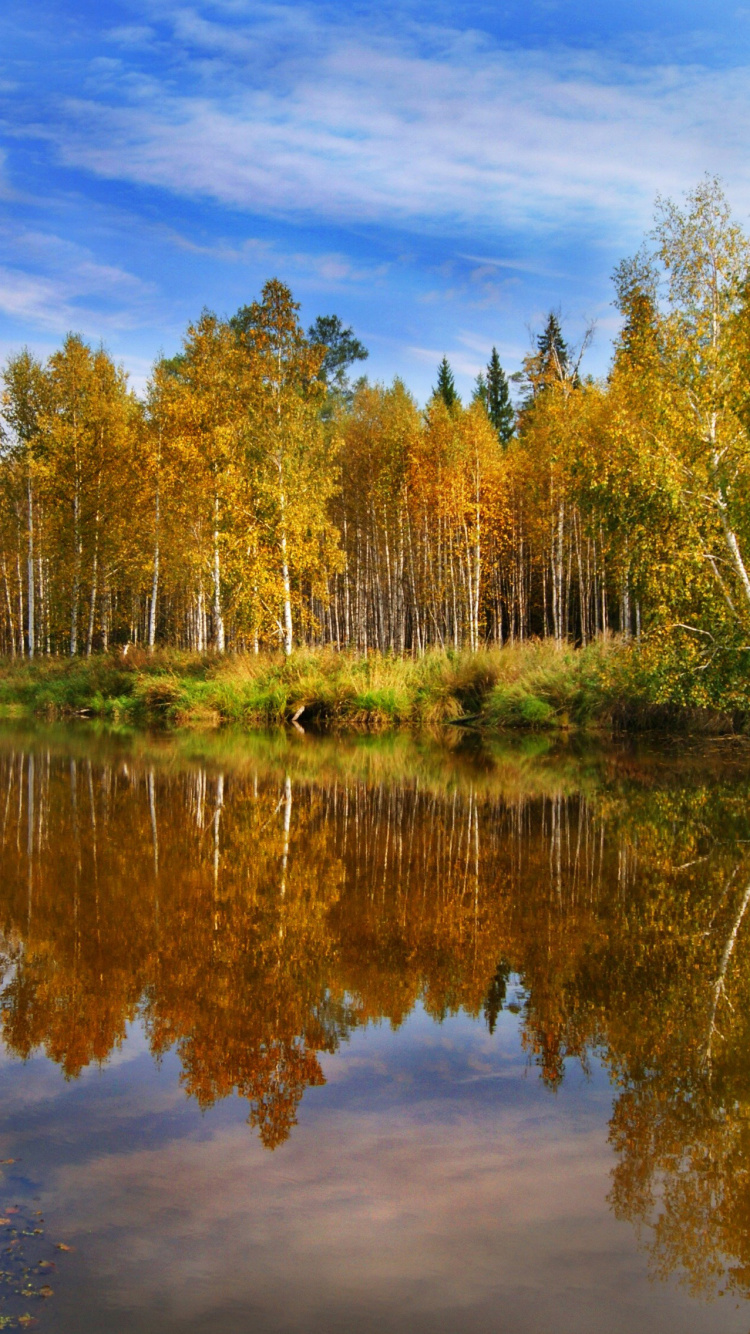 Grüne Bäume Neben Gewässer Unter Blauem Himmel Tagsüber. Wallpaper in 750x1334 Resolution