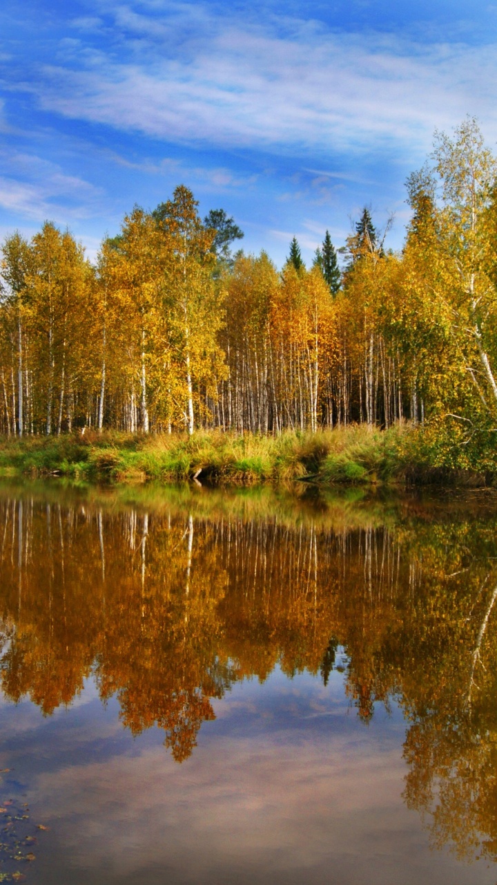 Arbres Verts à Côté D'un Plan D'eau Sous un Ciel Bleu Pendant la Journée. Wallpaper in 720x1280 Resolution