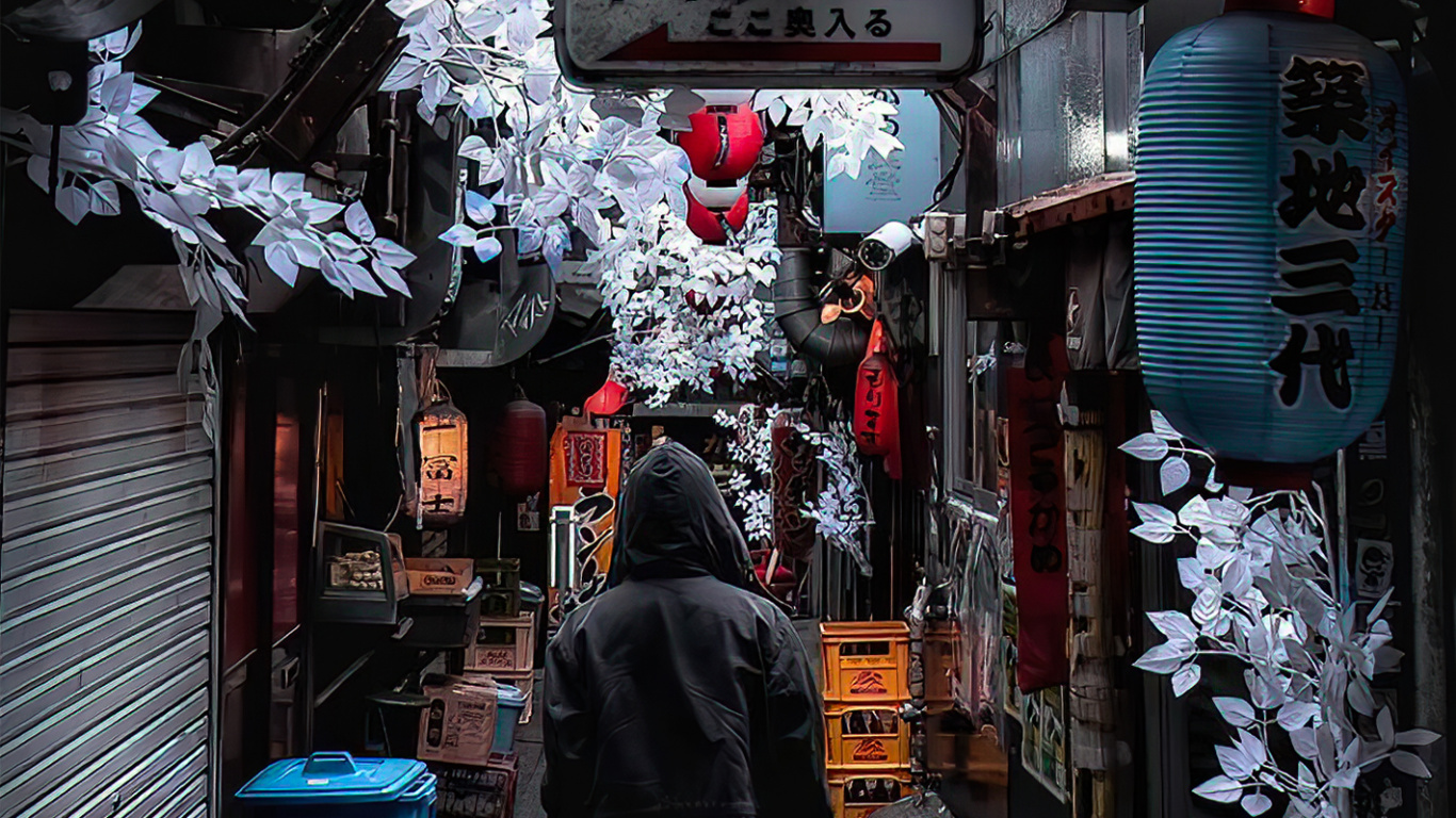 Alley, Road, Building, Infrastructure, Snow. Wallpaper in 1366x768 Resolution