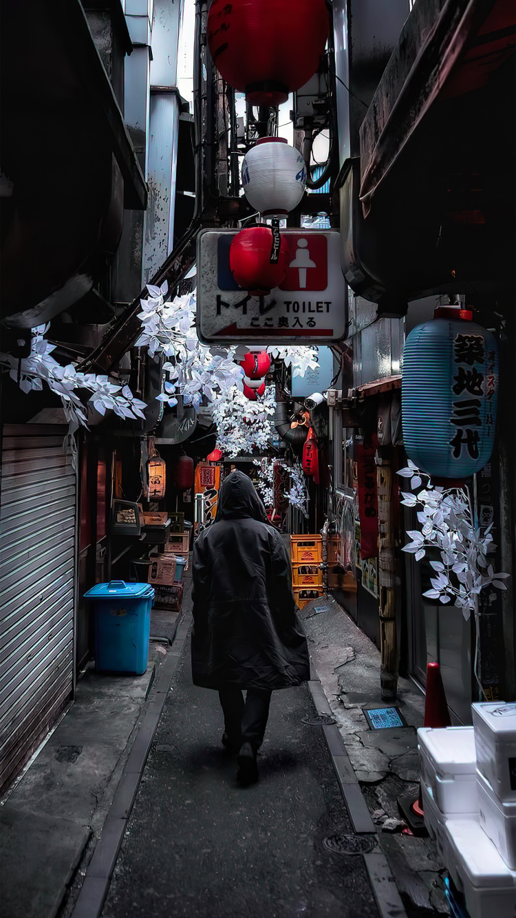 Alley, Road, Building, Infrastructure, Snow. Wallpaper in 750x1334 Resolution