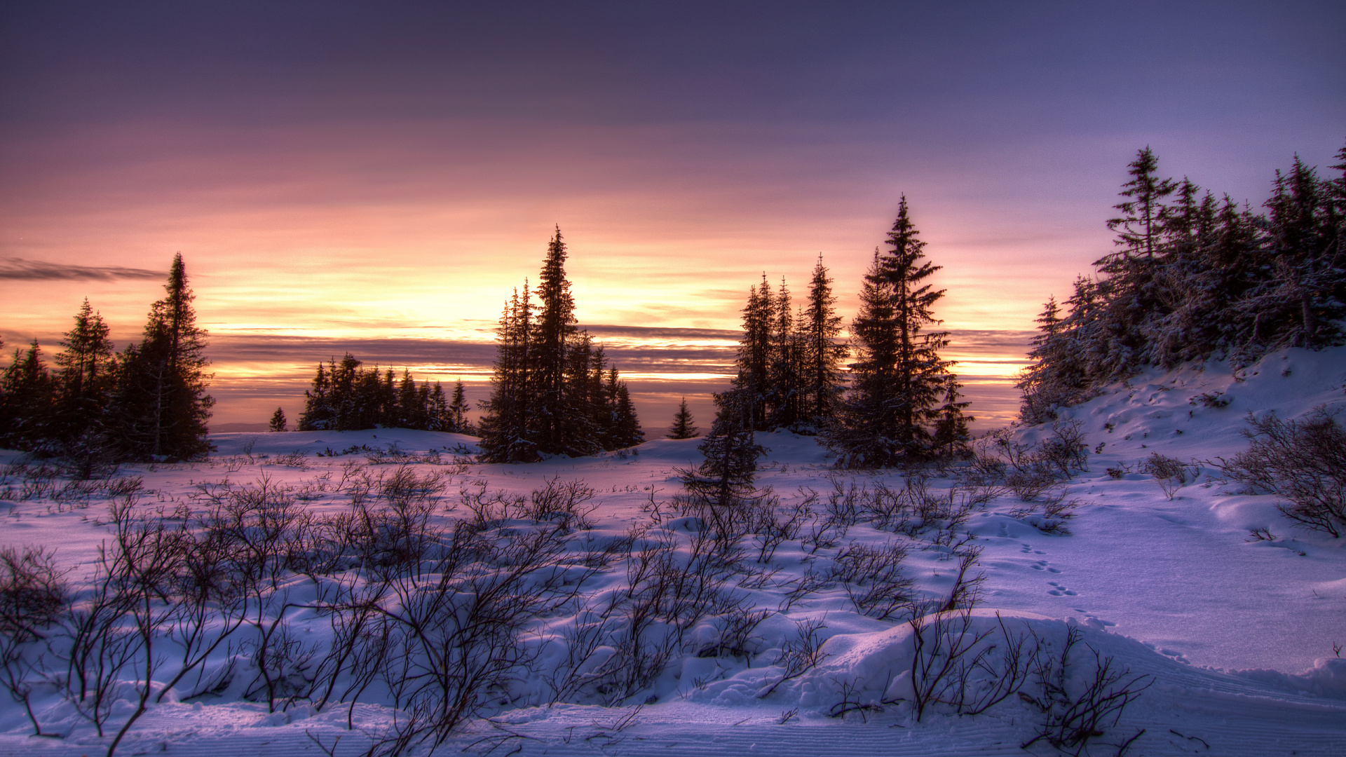 Champ Couvert de Neige et Arbres Pendant le Coucher du Soleil. Wallpaper in 1920x1080 Resolution