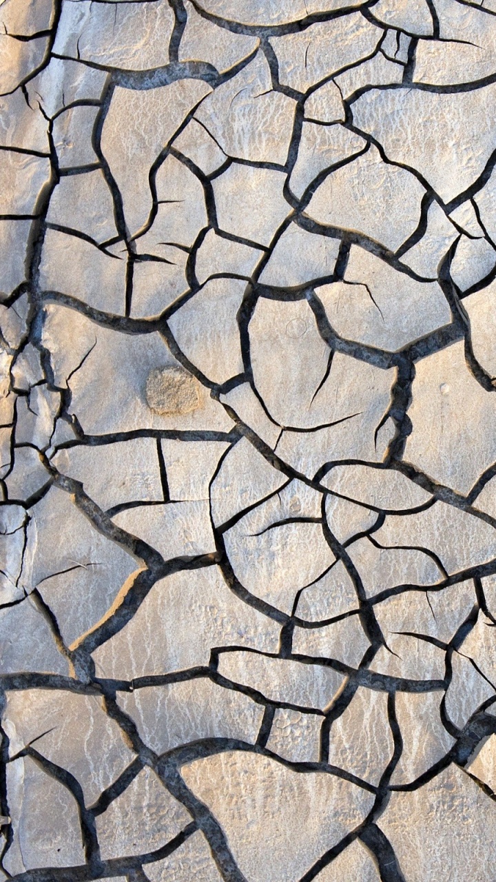 White and Black Fish Net. Wallpaper in 720x1280 Resolution