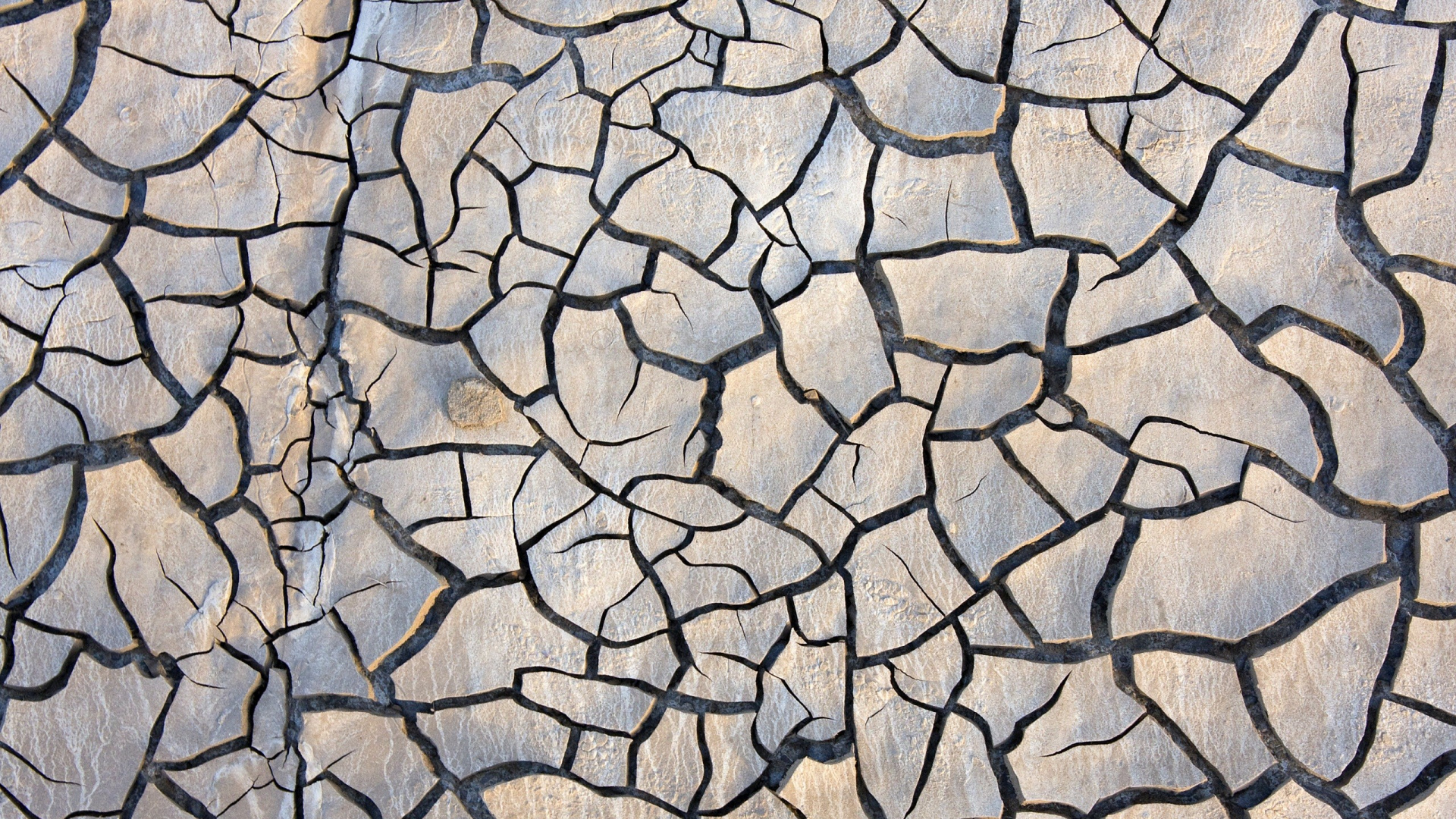 Red de Pesca Blanca y Negra. Wallpaper in 1920x1080 Resolution