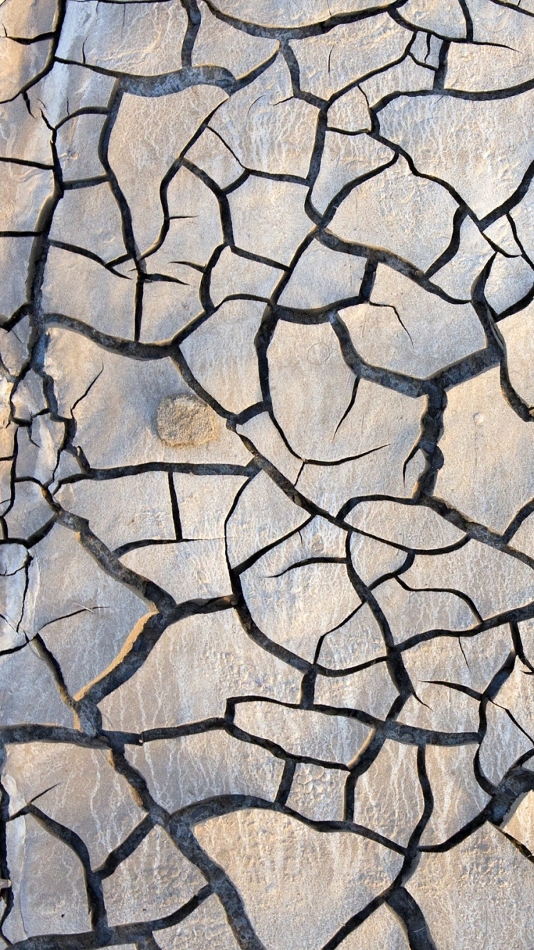 Red de Pesca Blanca y Negra. Wallpaper in 750x1334 Resolution