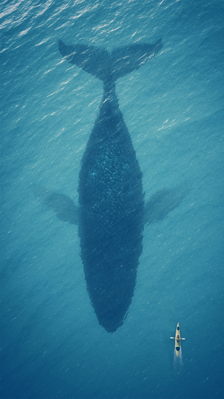 Flyme OS 6, Whales, Fin, Aqua, Azure. Wallpaper in 750x1334 Resolution