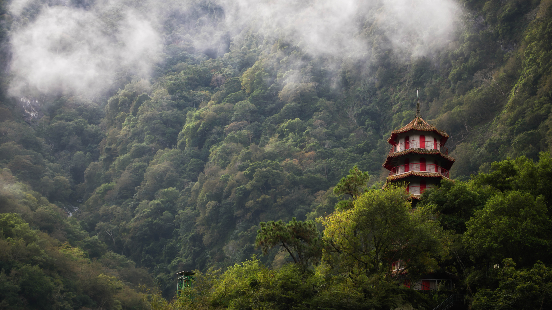 公园, 山站, 性质, 植被, 绿色的 壁纸 1920x1080 允许