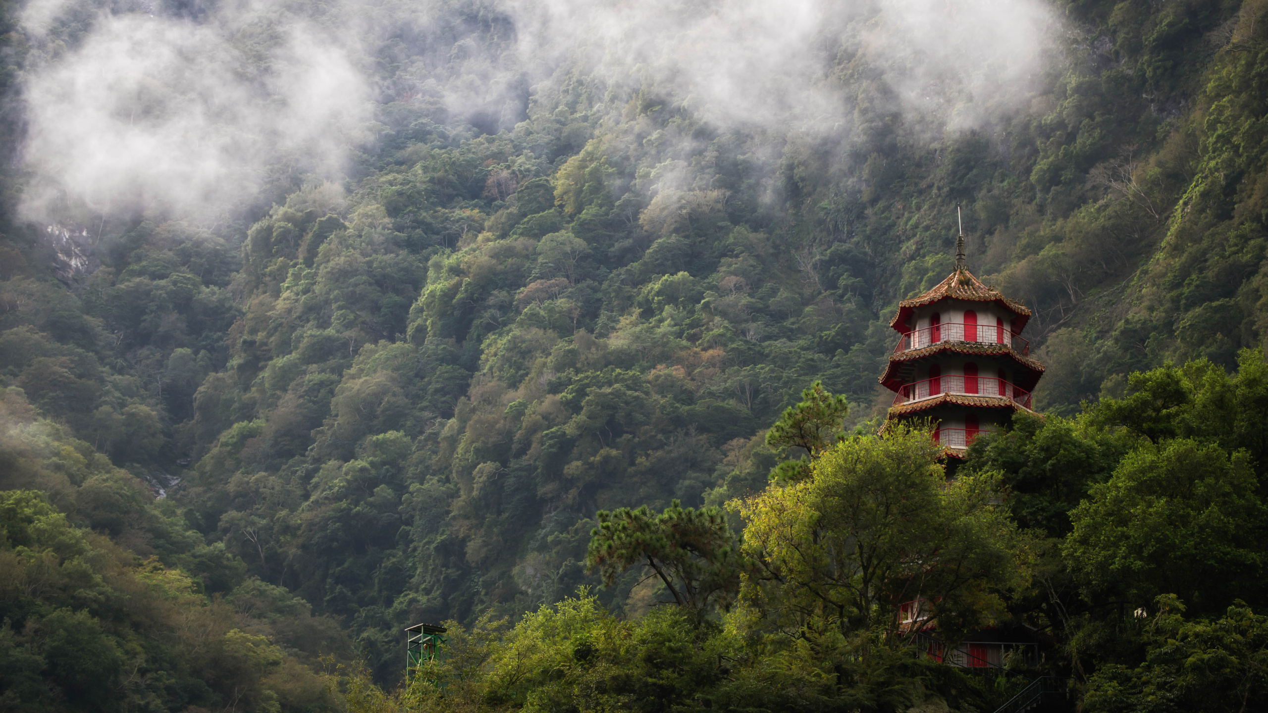 公园, 山站, 性质, 植被, 绿色的 壁纸 2560x1440 允许