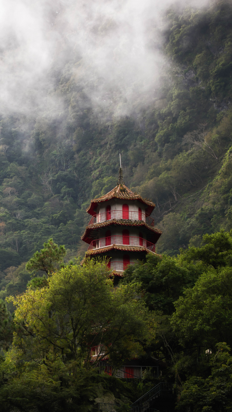 公园, 山站, 性质, 植被, 绿色的 壁纸 750x1334 允许