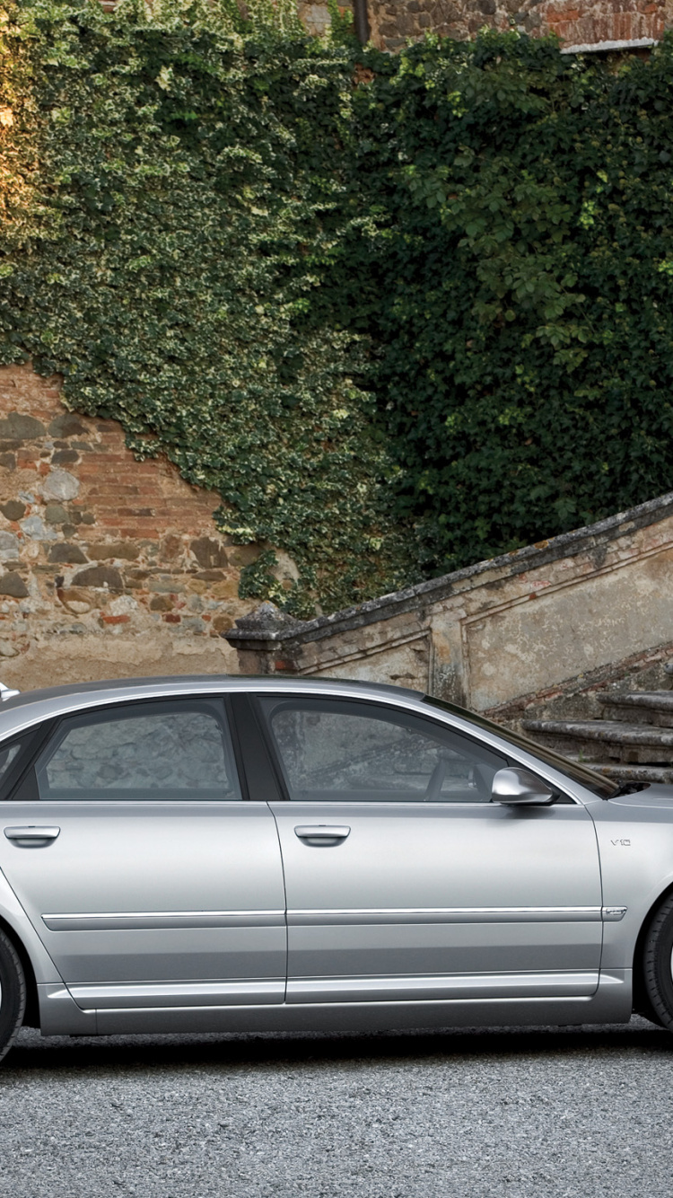 Silberne Limousine Neben Grünpflanze Geparkt. Wallpaper in 750x1334 Resolution