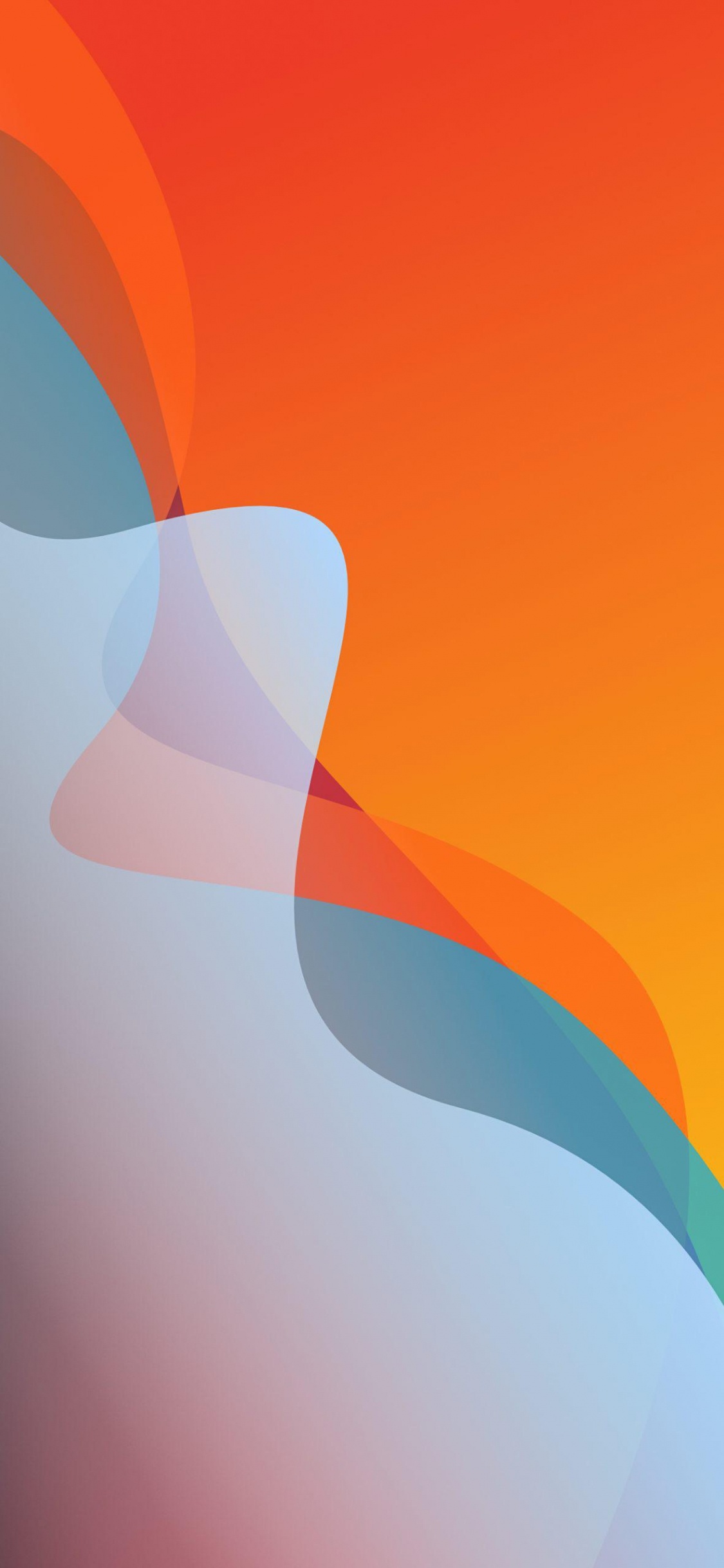 Orange, Äpfeln, Geste, Kunst, Flagge. Wallpaper in 1125x2436 Resolution