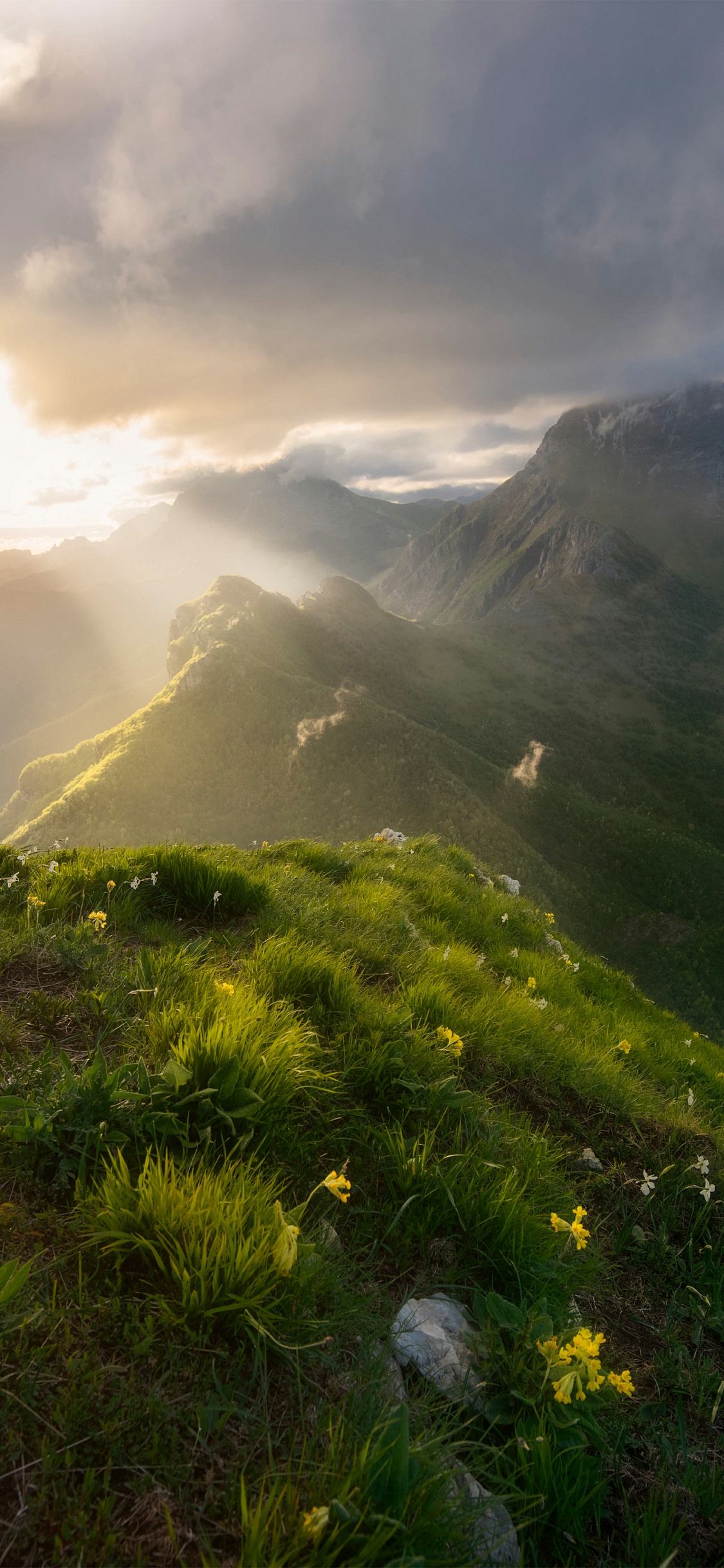 Highland, Cloud, Plant, Mountain, Ecoregion. Wallpaper in 1125x2436 Resolution