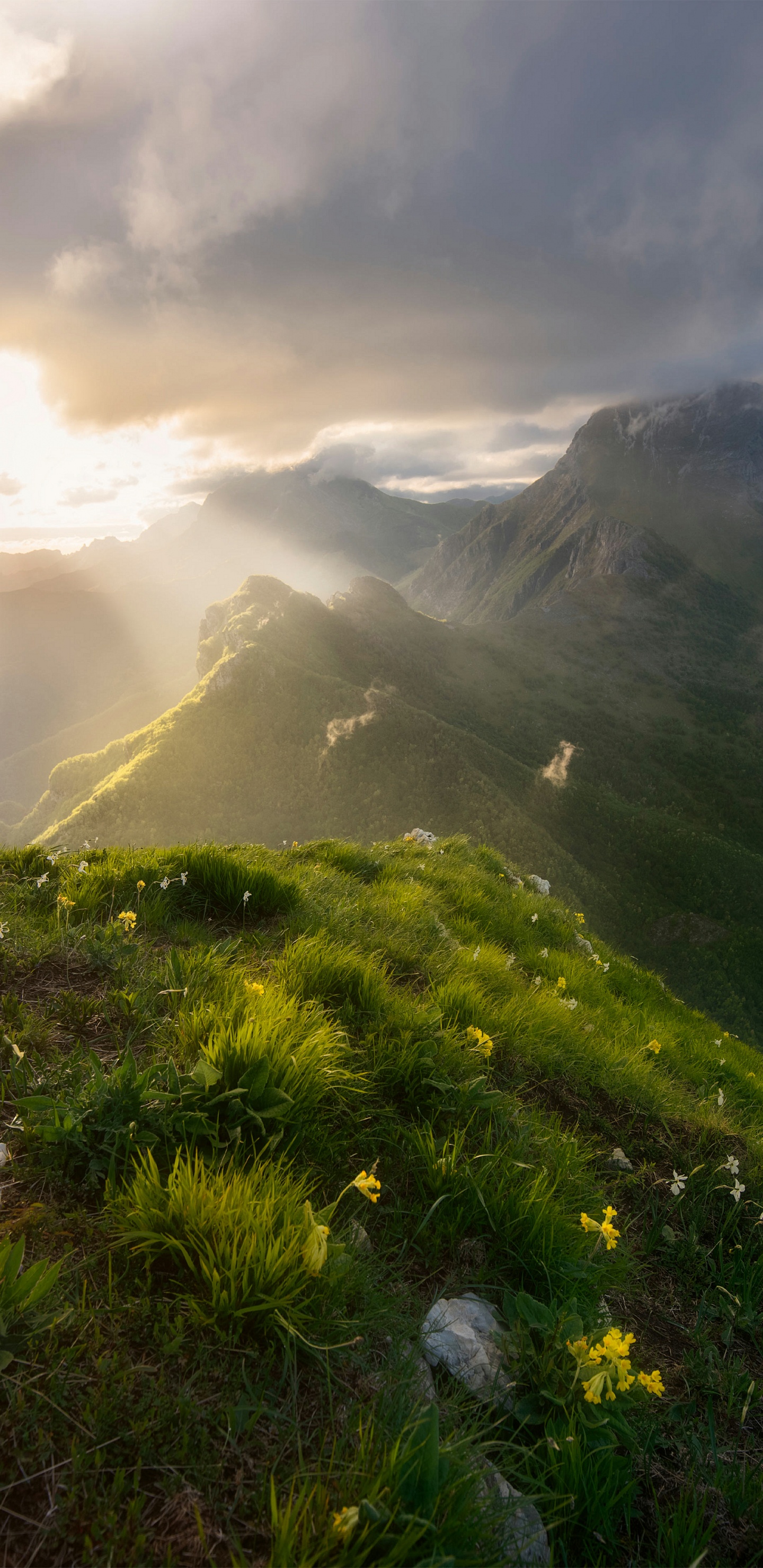 Highland, Cloud, Plant, Mountain, Ecoregion. Wallpaper in 1440x2960 Resolution