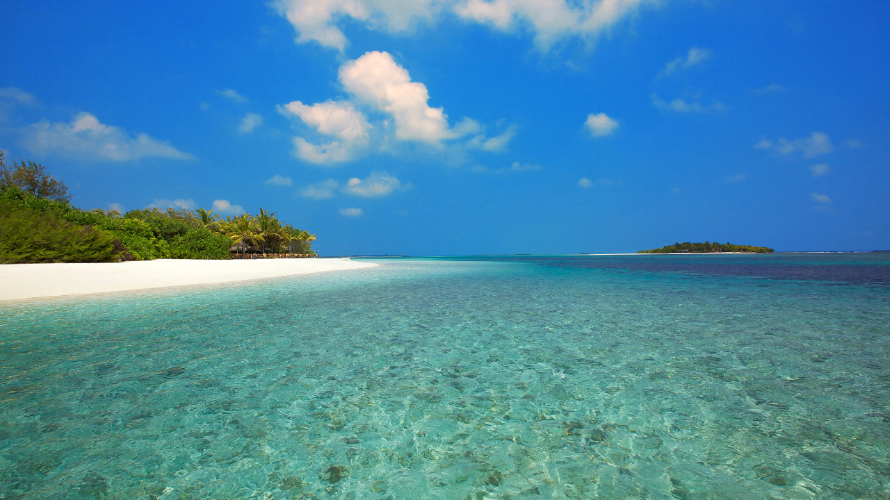 Green Trees on Island Under Blue Sky During Daytime. Wallpaper in 1280x720 Resolution