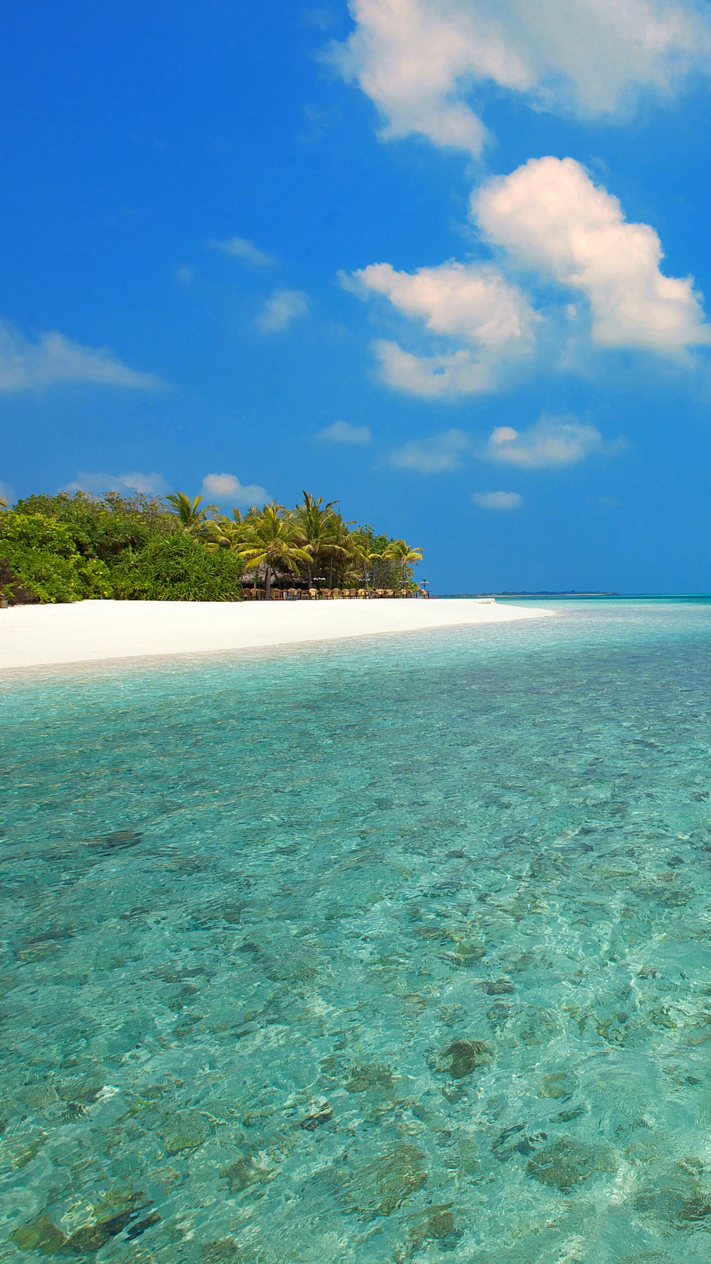 Green Trees on Island Under Blue Sky During Daytime. Wallpaper in 1440x2560 Resolution