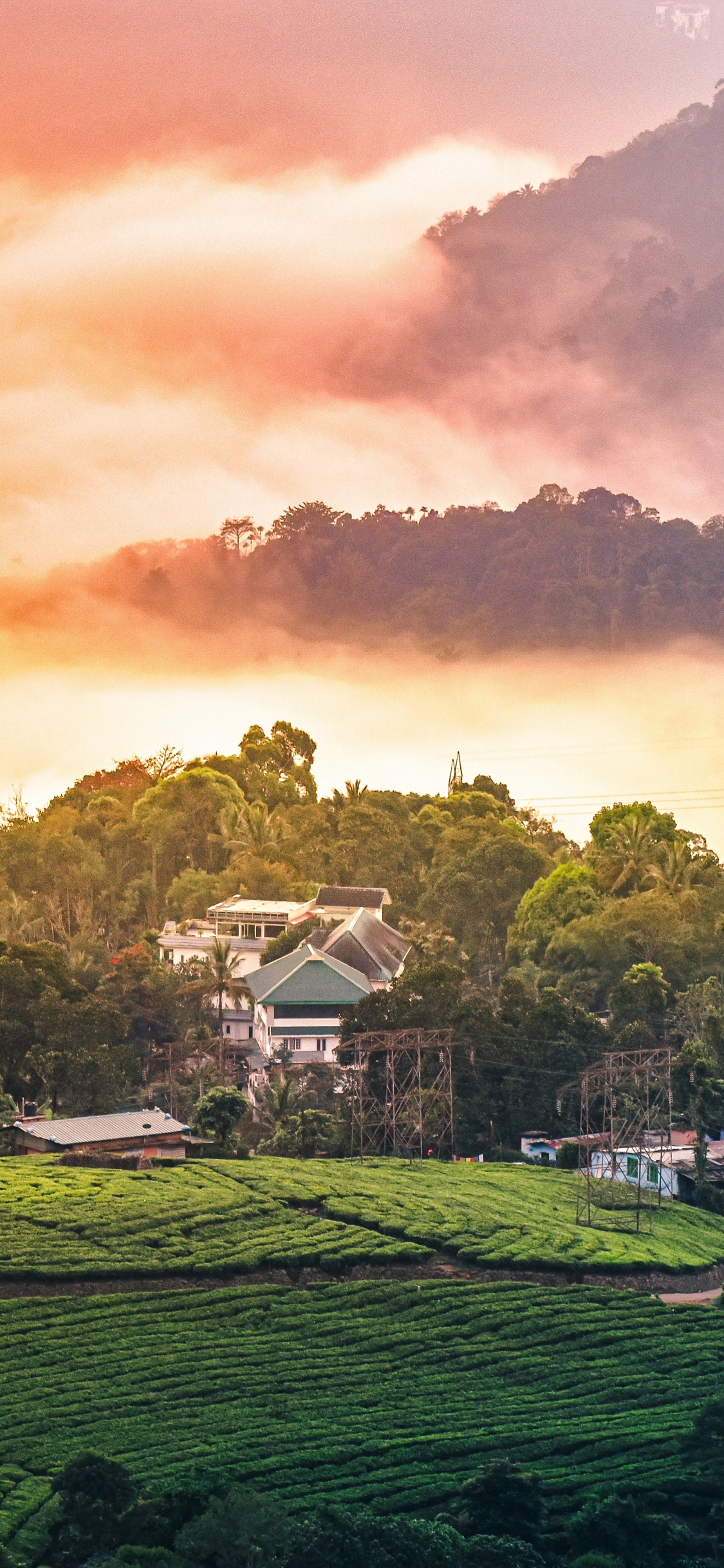 Nature, Mount Scenery, Munnar, Hill Station, Rural Area. Wallpaper in 1125x2436 Resolution