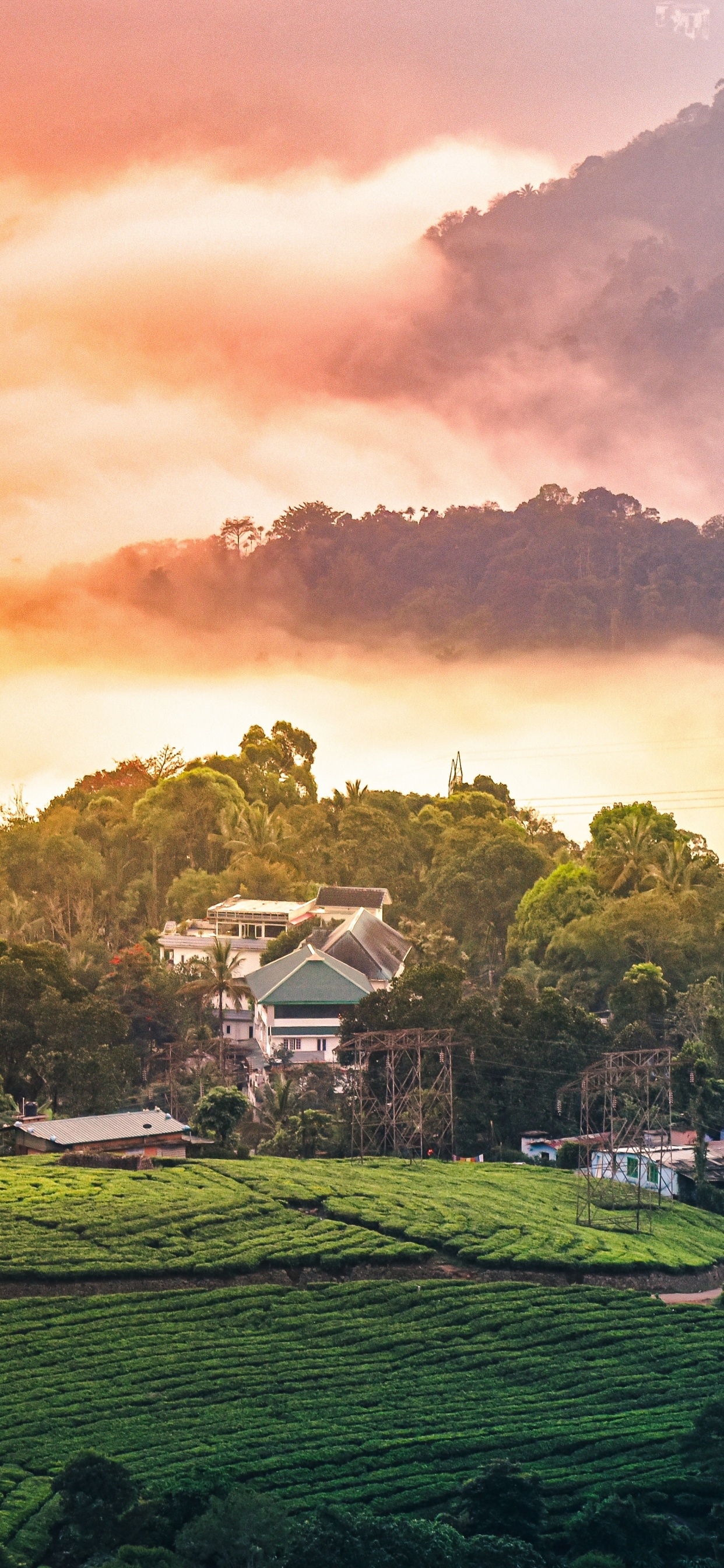 Nature, Mount Scenery, Munnar, Hill Station, Rural Area. Wallpaper in 1242x2688 Resolution
