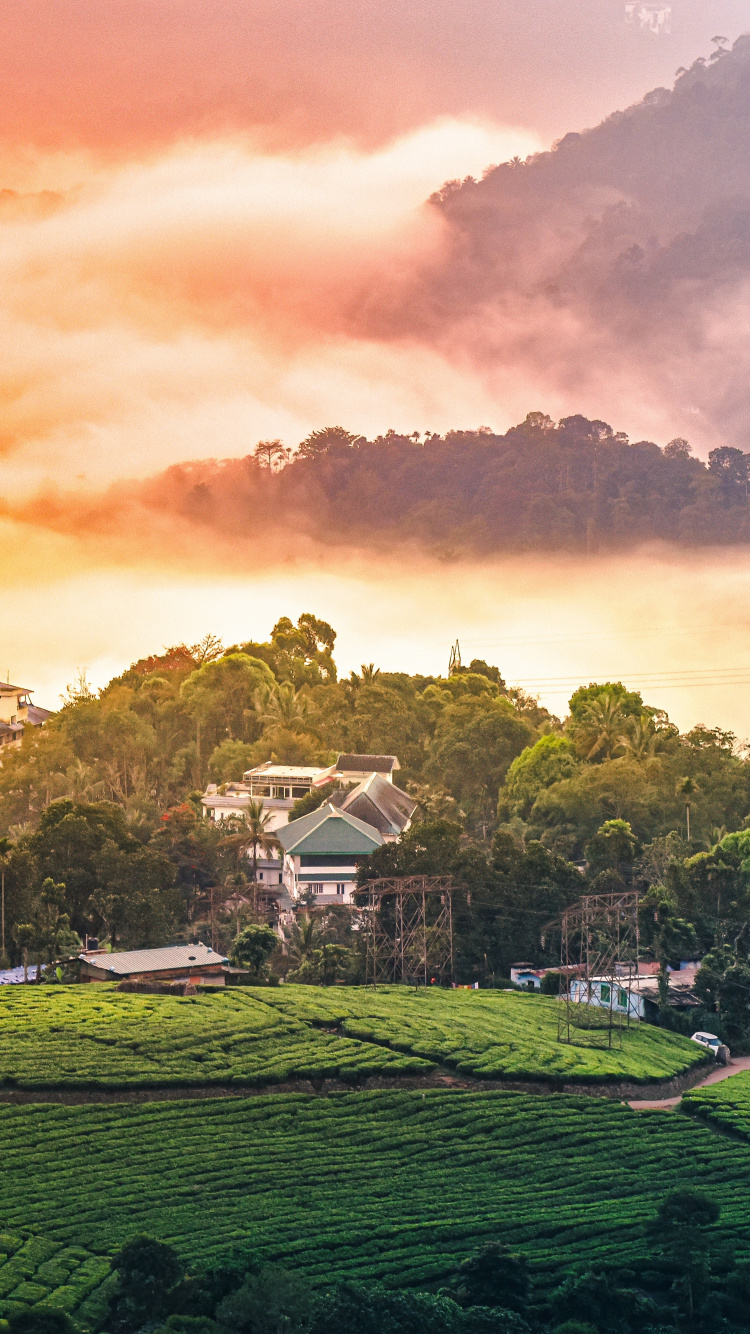 Nature, Mount Scenery, Munnar, Hill Station, Rural Area. Wallpaper in 750x1334 Resolution