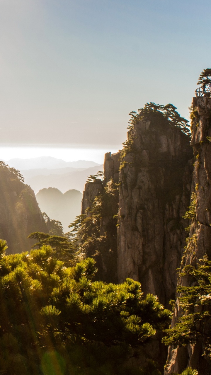 Grüne Bäume in Der Nähe Von Rocky Mountain Tagsüber. Wallpaper in 720x1280 Resolution