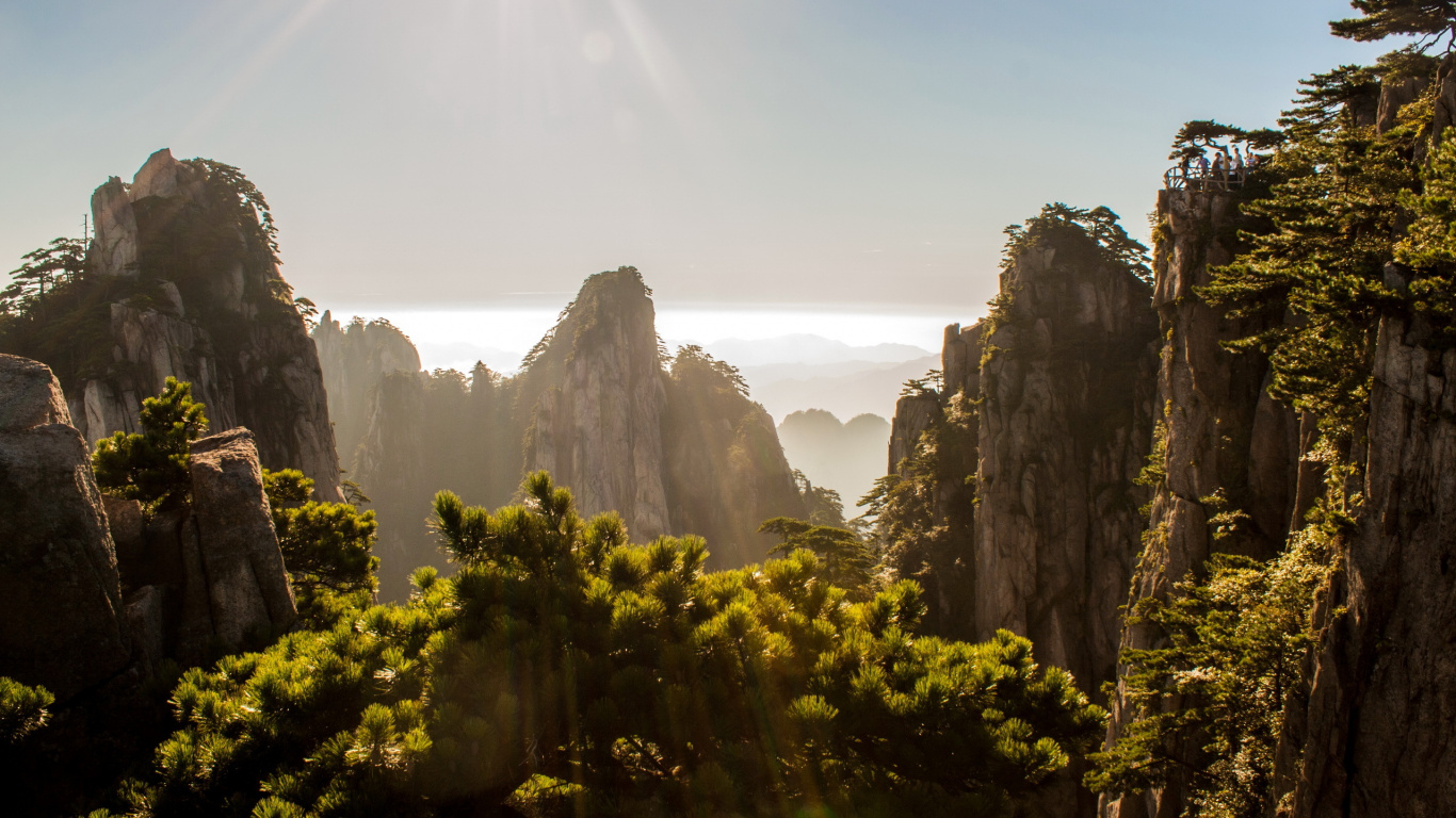 Green Trees Near Rocky Mountain During Daytime. Wallpaper in 1366x768 Resolution