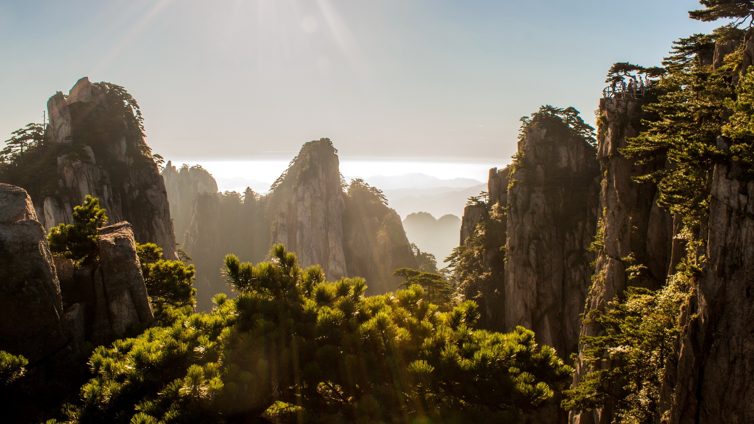 Green Trees Near Rocky Mountain During Daytime. Wallpaper in 2560x1440 Resolution