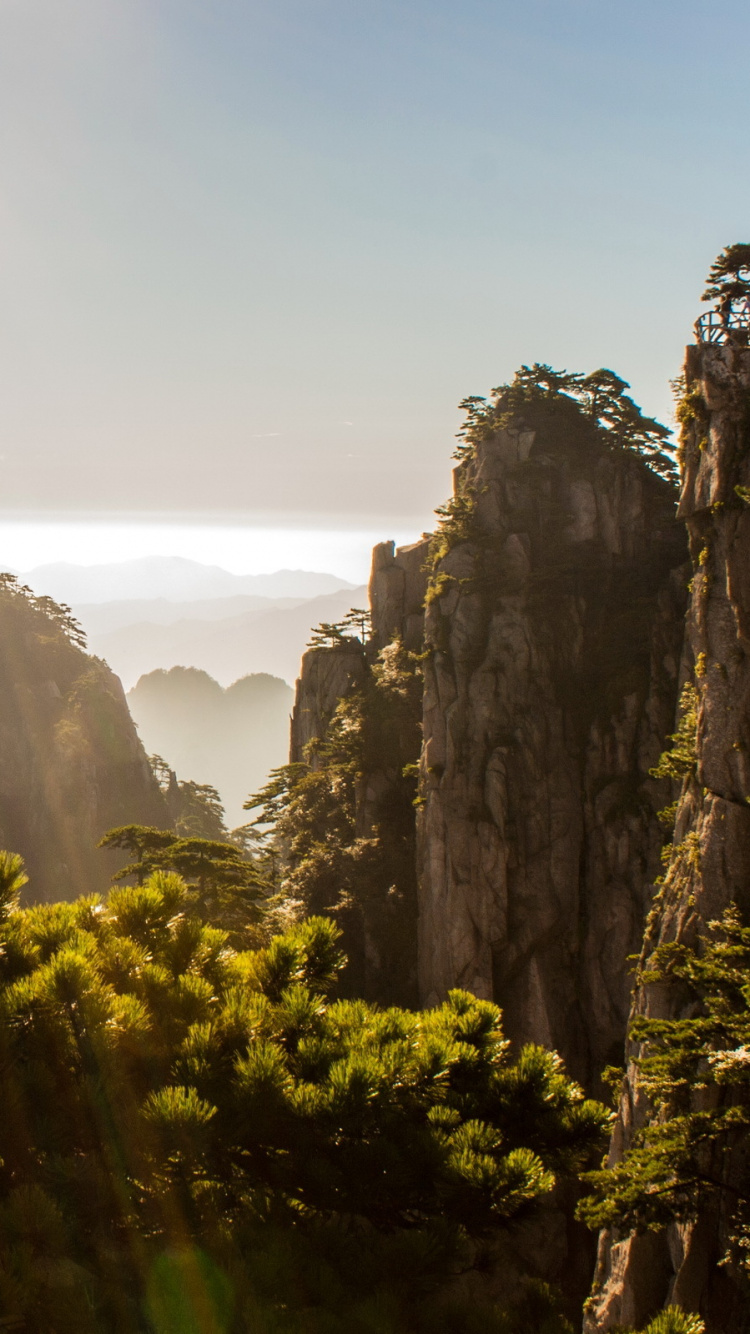 Green Trees Near Rocky Mountain During Daytime. Wallpaper in 750x1334 Resolution