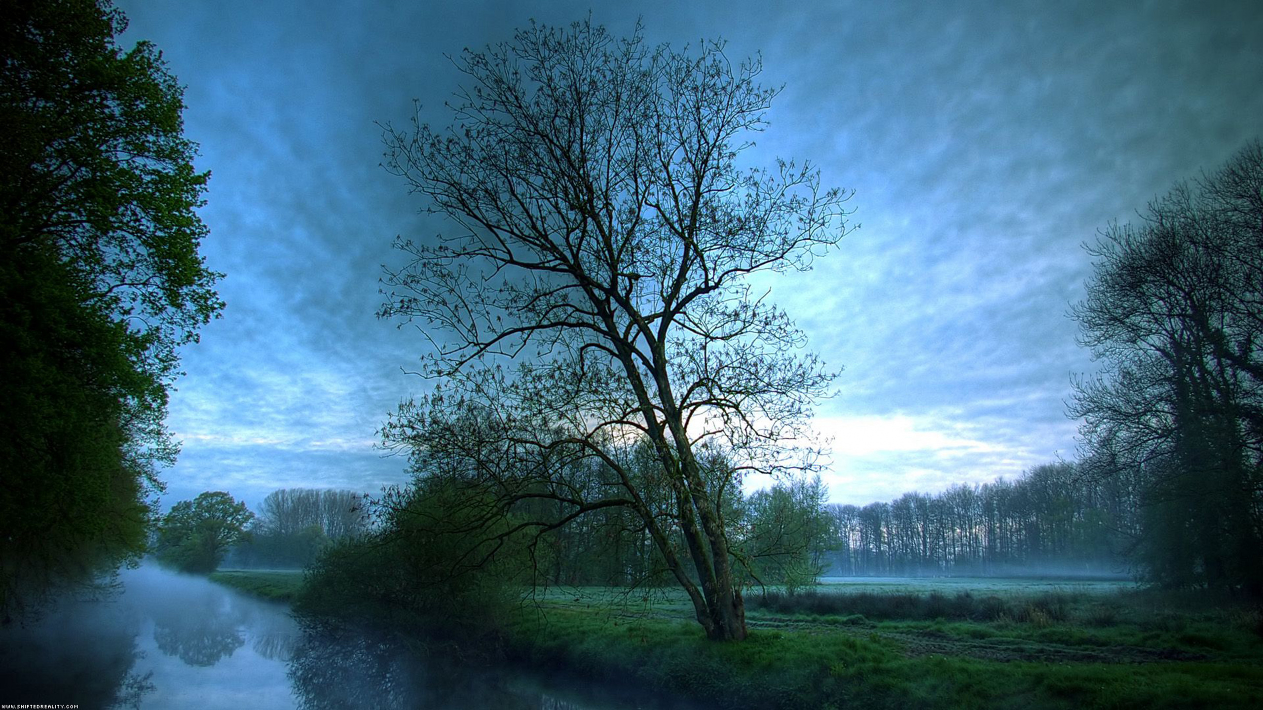 Paysage Naturel, Nature, Green, Matin, Blue. Wallpaper in 2560x1440 Resolution