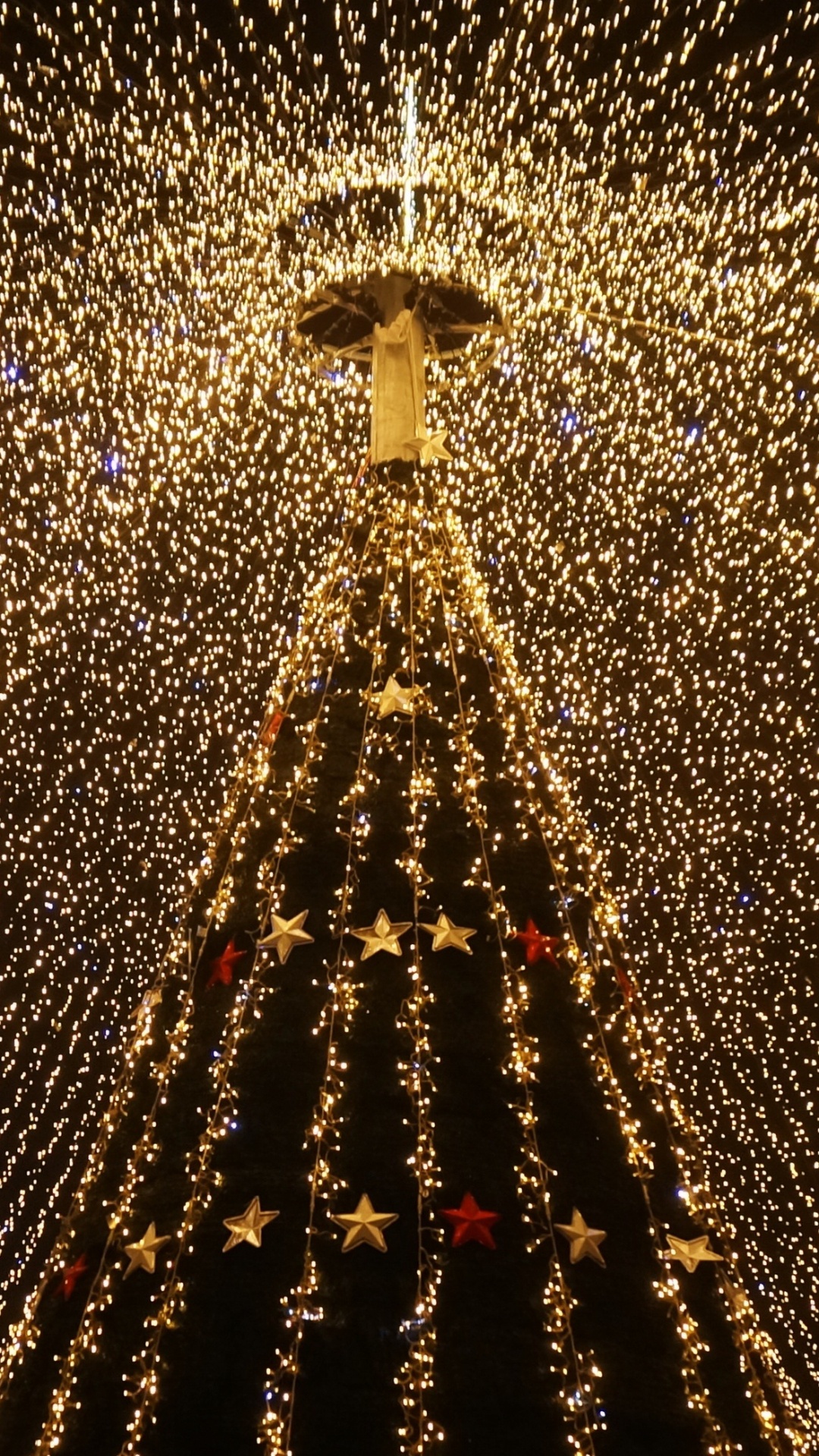 圣诞彩灯, 圣诞节那天, 光, 建筑, 对称 壁纸 1080x1920 允许