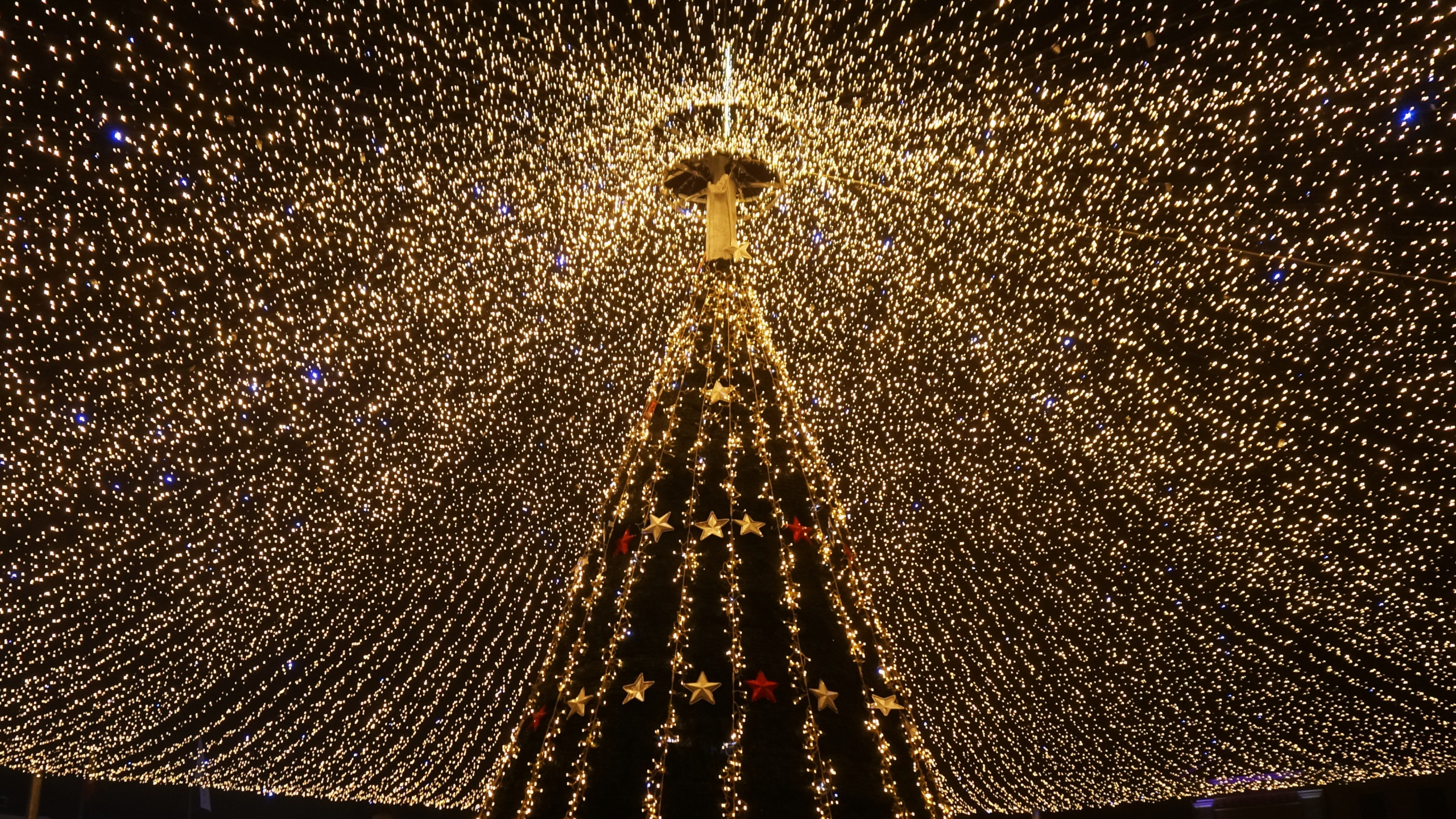 圣诞彩灯, 圣诞节那天, 光, 建筑, 对称 壁纸 2560x1440 允许