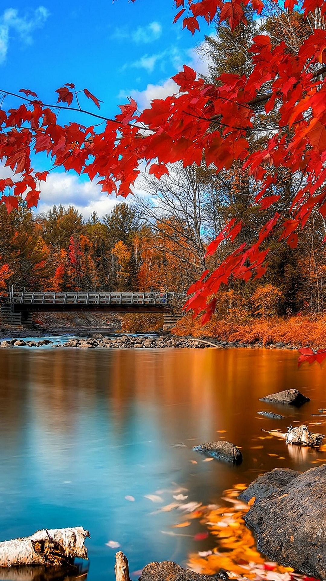 Autumn, Water, Cloud, Natural Landscape, Nature. Wallpaper in 1080x1920 Resolution