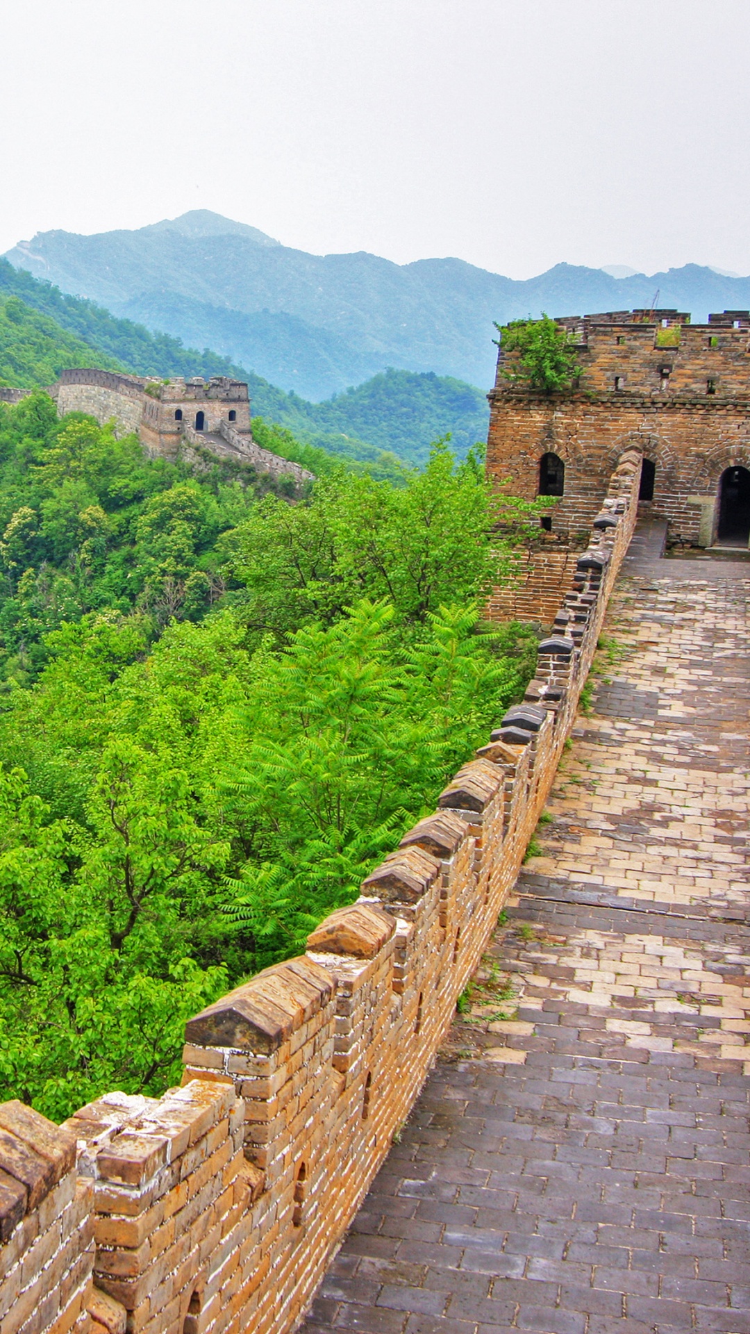 Braune Betontreppen in Der Nähe Von Grünen Bäumen Tagsüber. Wallpaper in 1080x1920 Resolution