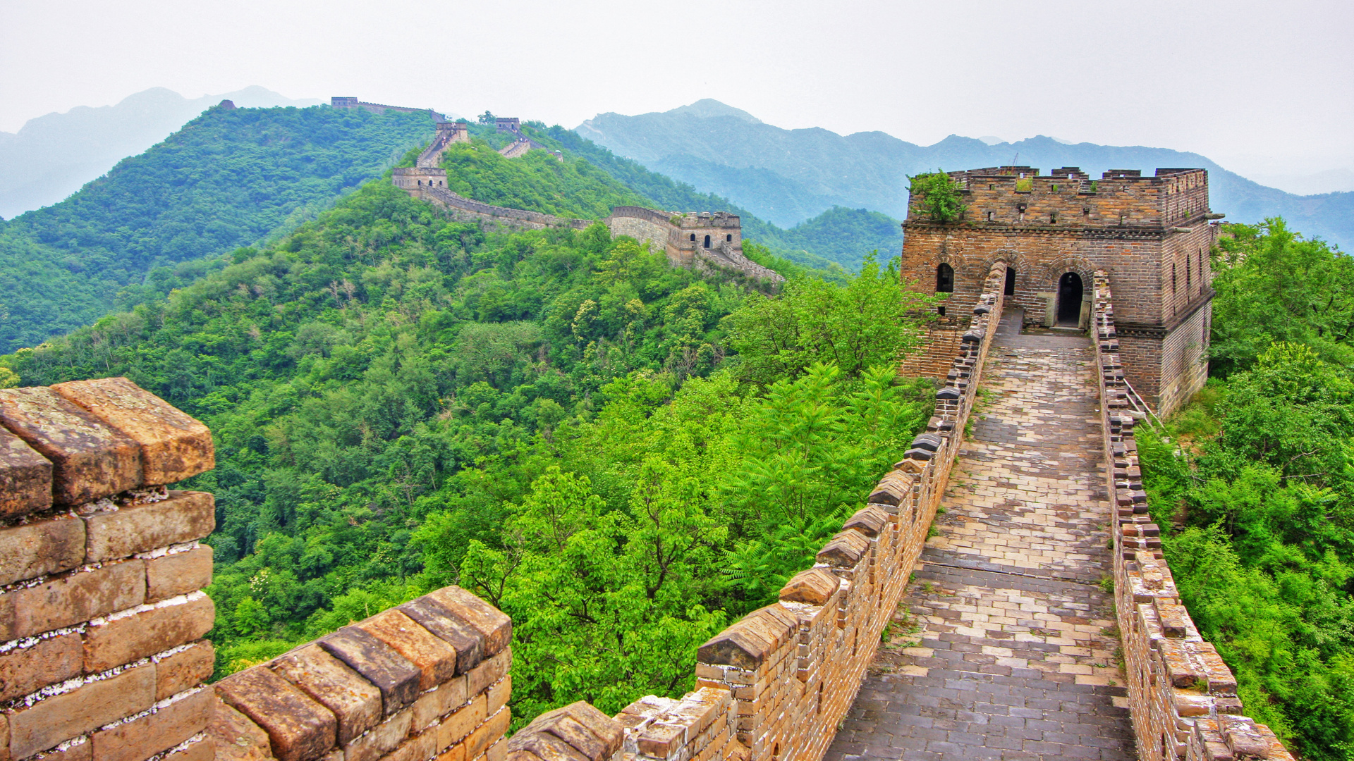 Brown Concrete Stairs Near Green Trees During Daytime. Wallpaper in 1920x1080 Resolution
