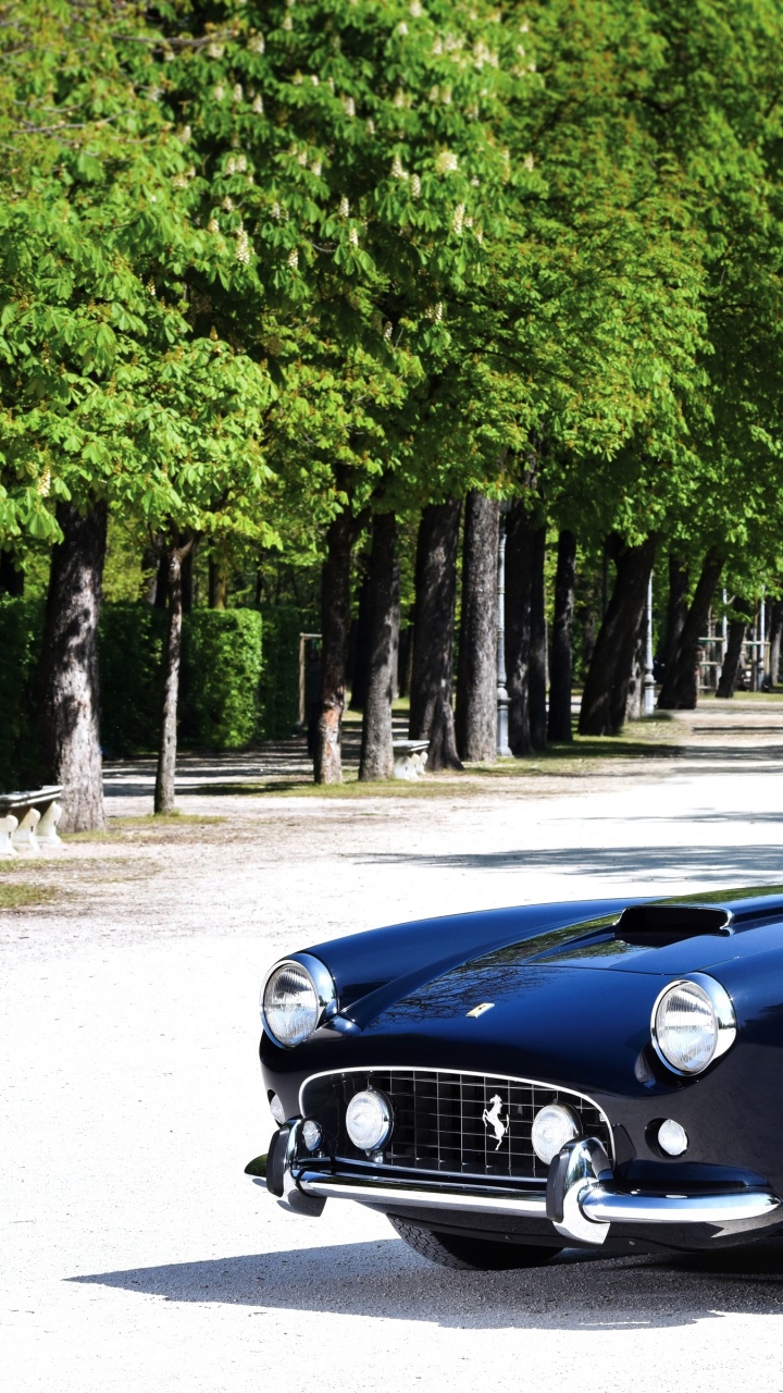 Porsche 911 Bleue Garée Sur la Route Près Des Arbres Verts Pendant la Journée. Wallpaper in 720x1280 Resolution