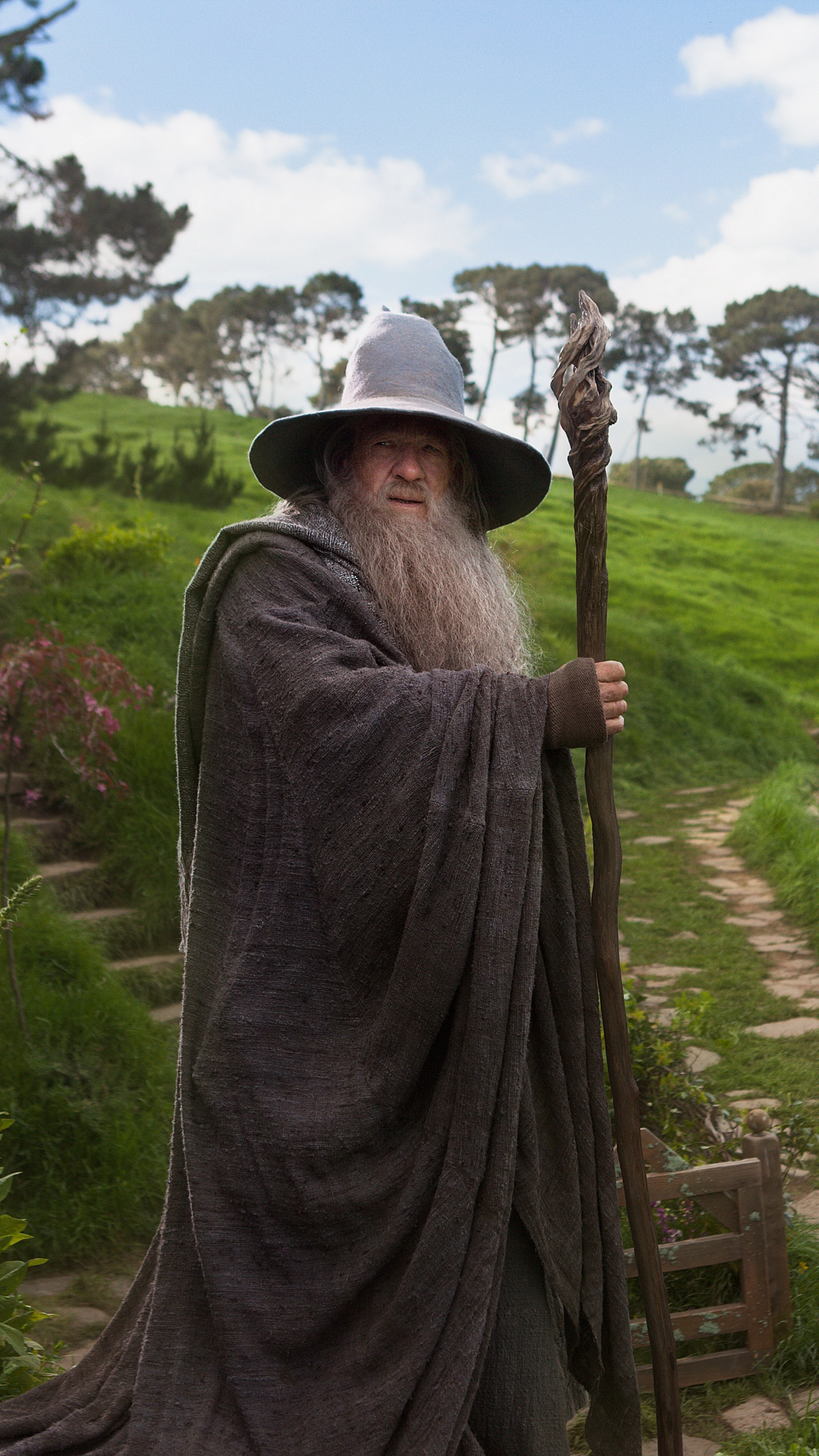 Mann in Grauer Robe Mit Braunem Holzstab. Wallpaper in 1440x2560 Resolution