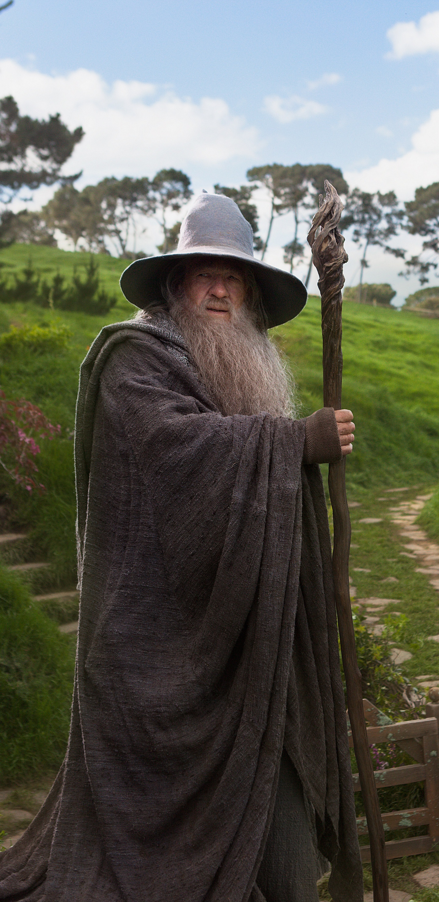 Homme en Robe Grise Tenant un Bâton en Bois Marron. Wallpaper in 1440x2960 Resolution