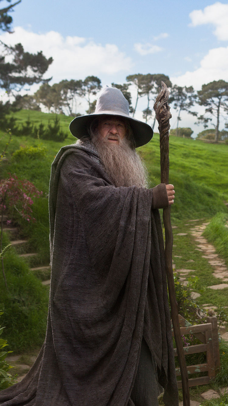 Homme en Robe Grise Tenant un Bâton en Bois Marron. Wallpaper in 750x1334 Resolution