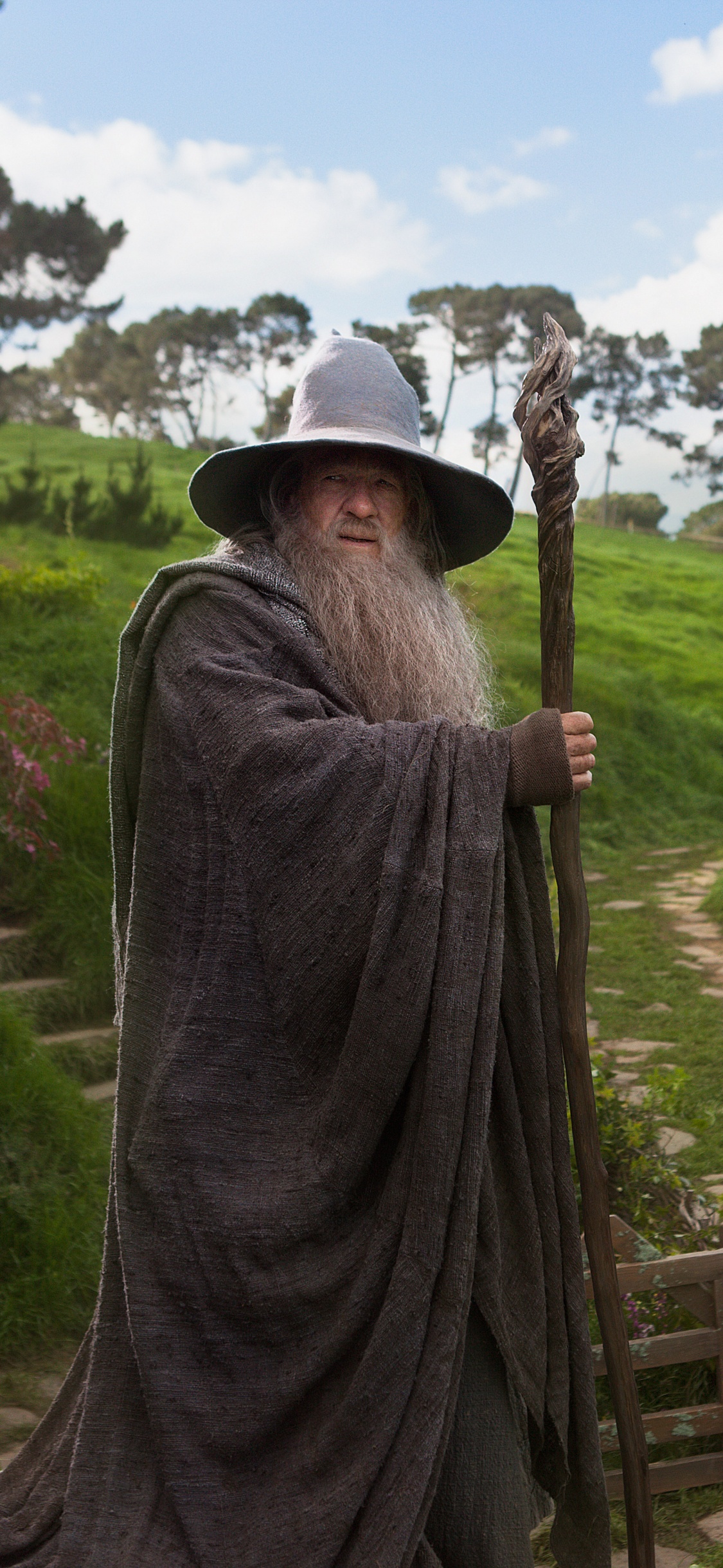 Man in Gray Robe Holding Brown Wooden Stick. Wallpaper in 1125x2436 Resolution