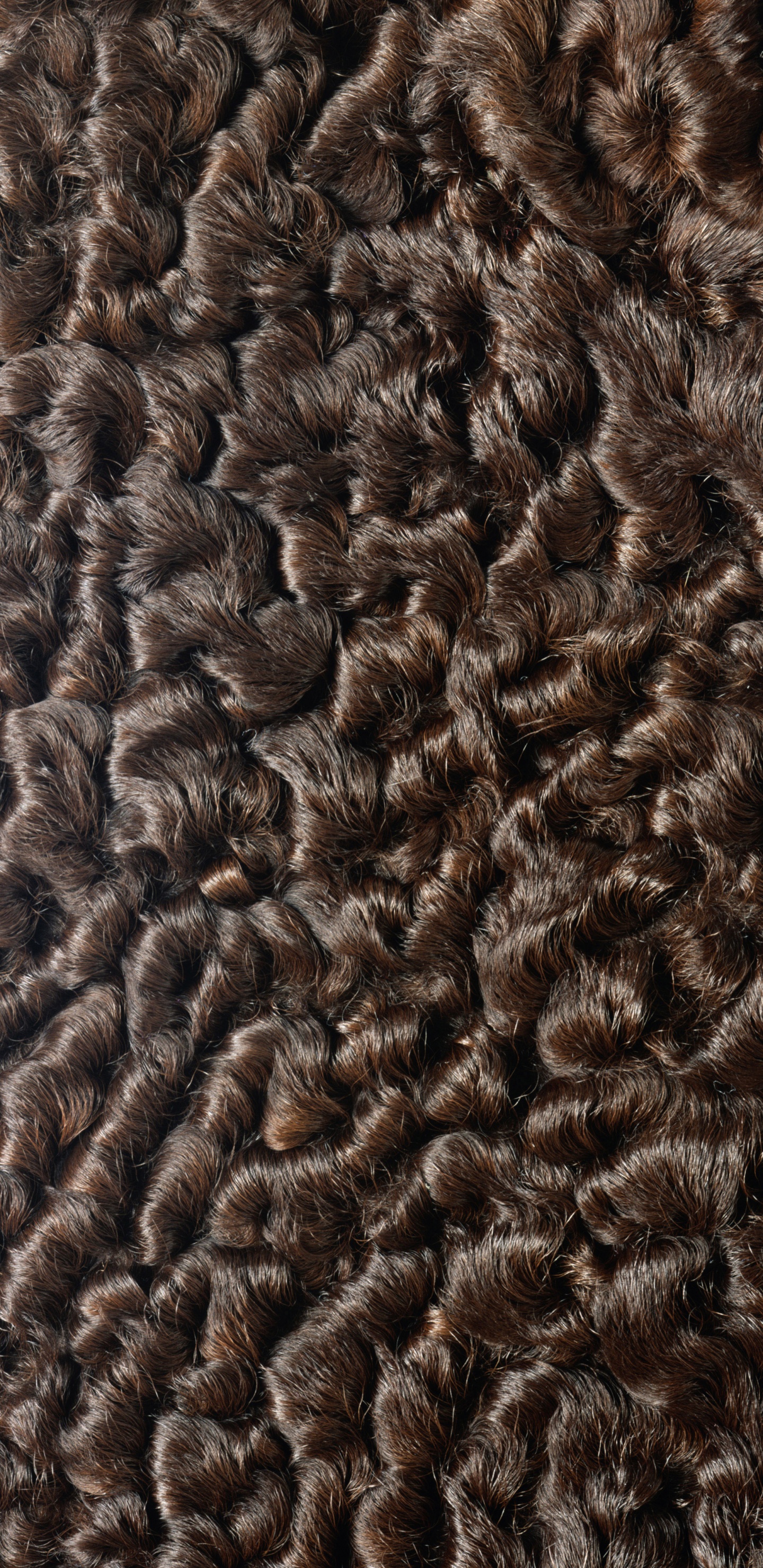 Textile Fourrure Noir et Marron. Wallpaper in 1440x2960 Resolution