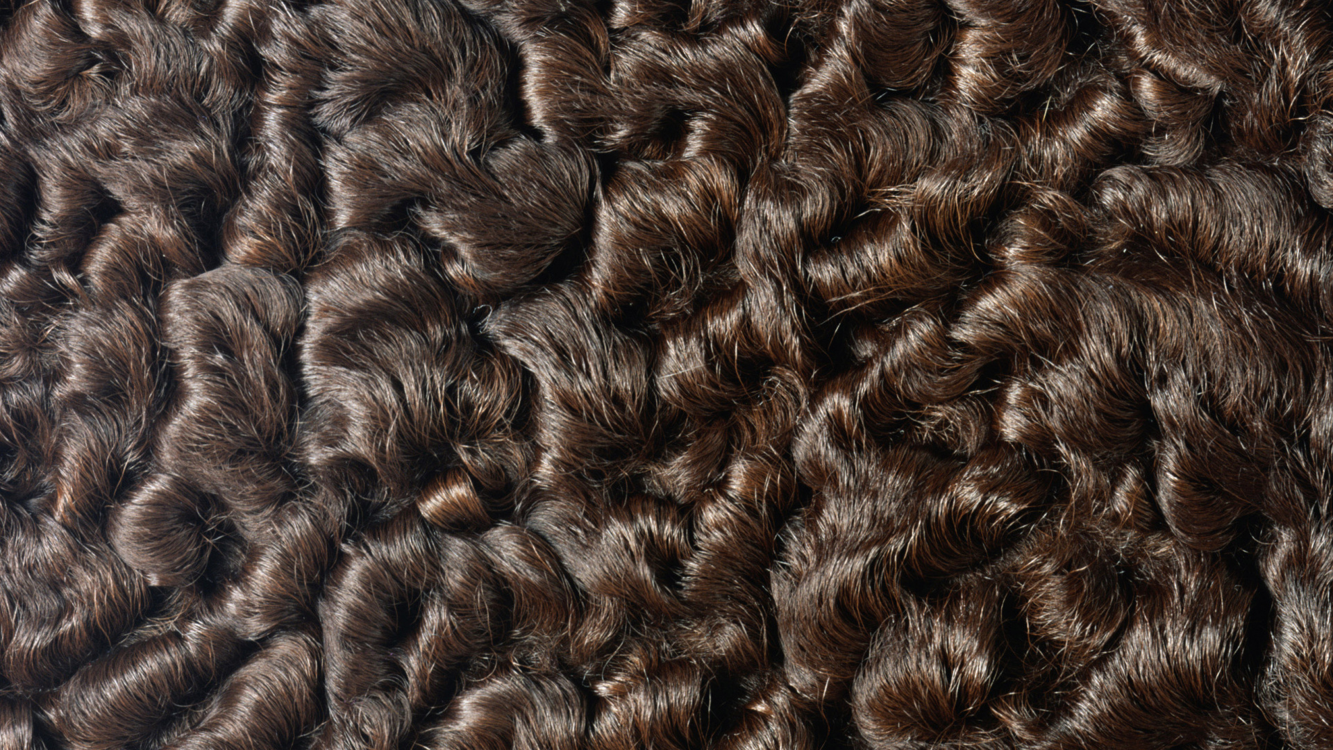 Textil de Piel Negra y Marrón. Wallpaper in 1920x1080 Resolution